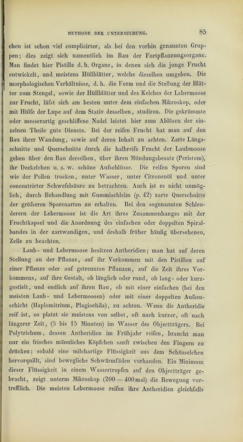chen ist schon viel complicirter, als bei den vorhin genannten Grup- pen; dies zeigt sich namentlich im Bau der Fortpflanzungsorgane. Man findet hier Pistille d, h. Organe, in denen sich die junge Frucht entwickelt, und meistens Hüllblätter, welche dieselben umgeben. Die morphologischen Verhältnisse, d. h. die Form und die Stellung der Blät- ter zum Stengel, sowie der Hüllblätter und des Kelches der Lebermoose zur Frucht, läfst sich am besten unter dem einfachen Mikroskop, oder mit Hülfe der Lupe auf dem Stativ desselben, studiren. Die gekrümmte oder messerartig geschliffene Nadel leistet hier zum Ablösen der ein- zelnen Theile gute Dienste. Bei der reifen Frucht hat man auf den Bau ihrer Wandung, sowie auf deren Inhalt zu achten. Zarte Längs- schnitte und Querschnitte durch die halbreife Frucht der Laubmoose geben über den Bau derselben, über ihren Mündungsbesatz (Peristom), ihr Deckelchen u. s. w. schöne Aufschlüsse. Die reifen Sporen sind wie der Pollen trocken, unter Wasser, unter Citronenöl und unter concentrirter Schwefelsäure zu betrachten. Auch ist es nicht unmög- lich, durch Behandlung mit Gummischleim (p. 42) zarte Querschnitte der gröfseren Sporenarten zu erhalten. Bei den sogenannten Schleu- derern der Lebermoose ist die Art ihres Zusammenhanges mit der Fruchtkapsel und die Anordnung des einfachen oder doppelten Spiral- bandes in der zartwandigen, und deshalb früher häufig übersehenen, Zelle zu beachten. Laub- und Lebermoose besitzen Antheridien; man hat auf deren Stellung an der Pflanze, auf ihr Vorkommen mit den Pistillen auf einer Pflanze oder auf getrennten Pflanzen, auf die Zeit ihres Vor- kommens, auf ihre Gestalt, ob länglich oder rund, ob lang- oder kurz- gestielt, und endlich auf ihren Bau, ob mit einer einfachen (bei den meisten Laub- und Lebermoosen) oder mit einer doppelten Aufsen- schicht (Haplomitrium, Plagiochila), zu achten. Wenn die Antheridie reif ist, so platzt sie meistens von selbst, oft nach kurzer, oft nach längerer Zeit, (5 bis 15 Minuten) im Wasser des Objectträgers. Bei Poljtrichum, dessen Antheridien im Frühjahr reifen, braucht man nur ein frisches männliches Köpfchen sanft zwischen den Fingern zu drücken; sobald eine milchartige Flüssigkeit aus dem Schüsselchen hervorquillt, sind bewegliche Schwärmfäden vorhanden. Ein Minimum dieser Flüssigkeit in einem Wassertropfen auf den Objectträger ge- bracht, zeigt unterm Mikroskop (200 — 400 mal) die Bewegung vor- trefflich. Die meisten Lebermoose reifen ihre Antheridien gleichfalls