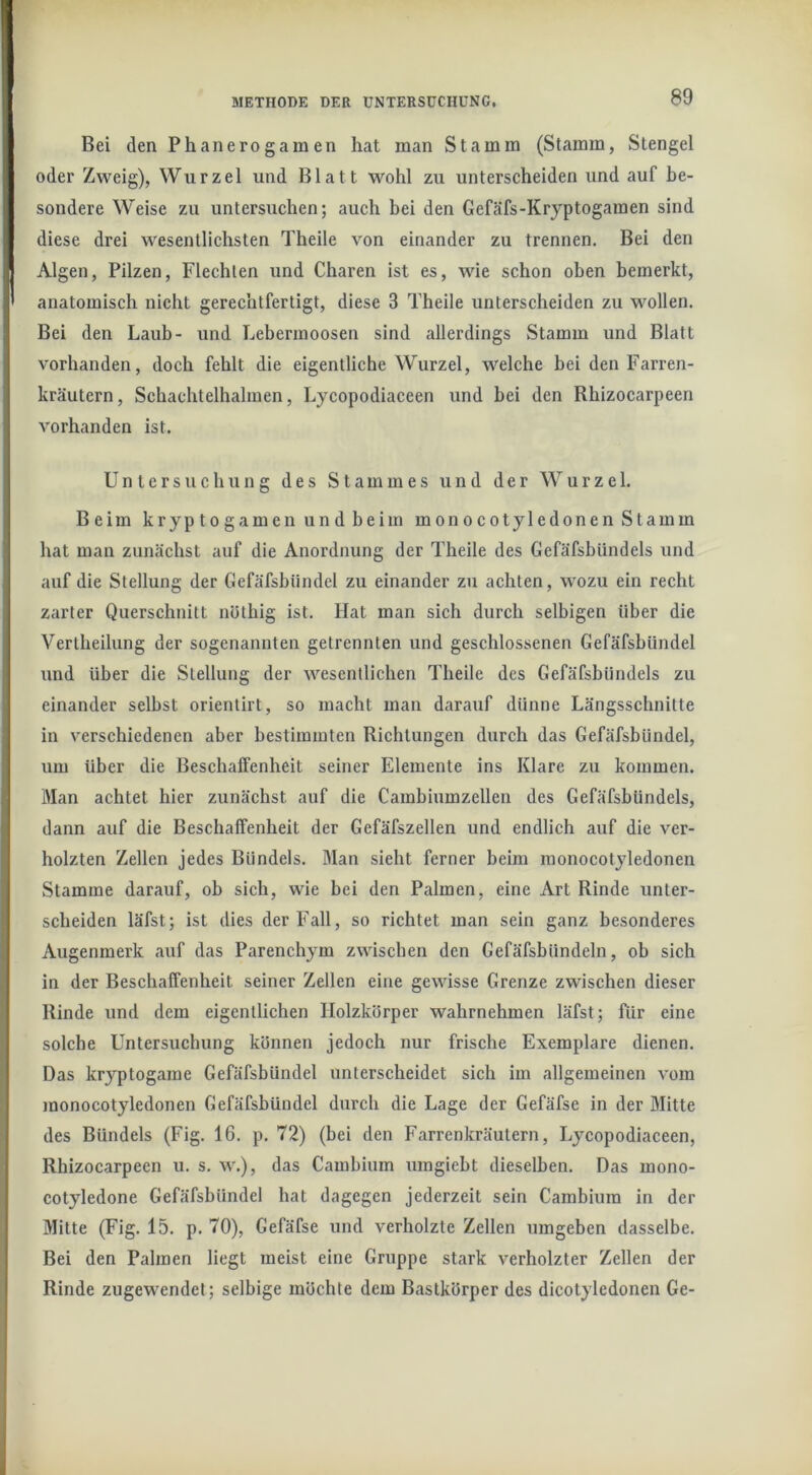 Bei den Phanerogamen hat man Stamm (Stamm, Stengel oder Zweig), Wurzel und Blatt w'^ohl zu unterscheiden und auf be- sondere Weise zu untersuchen; auch bei den Gefäfs-Kryptogaraen sind diese drei wesentlichsten Theile von einander zu trennen. Bei den Algen, Pilzen, Flechten und Charen ist es, wie schon oben bemerkt, anatomisch nicht gerechtfertigt, diese 3 Theile unterscheiden zu Mmllen. Bei den Laub- und Lebermoosen sind allerdings Stamm und Blatt vorhanden, doch fehlt die eigentliche Wurzel, welche bei den Farren- kräutern, Schachtelhalmen, Lycopodiaceen und bei den Rhizocarpeen vorhanden ist. Untersuchung des Stammes und der Wurzel. Beim kryptogamen und beim monocotyledonen Stamm hat man zunächst auf die Anordnung der Theile des Gefäfsbündels und auf die Stellung der Gefäfsbiindel zu einander zu achten, wozu ein recht zarter Querschnitt nöthig ist. Hat man sich durch selbigen über die Vertheilung der sogenannten getrennten und geschlossenen Gefäfsbündel und über die Stellung der wesentlichen Theile des Gefäfsbündels zu einander selbst orienlirt, so macht man darauf dünne Längsschnitte in verschiedenen aber bestimmten Richtungen durch das Gefäfsbündel, um über die Beschaffenheit seiner Elemente ins Klare zu kommen. Man achtet hier zunächst auf die Cambiumzellen des Gefäfsbündels, dann auf die Beschaffenheit der Gefäfszellen und endlich auf die ver- holzten Zellen jedes Bündels. Man sieht ferner beim monocotyledonen Stamme darauf, ob sich, wie bei den Palmen, eine Art Rinde unter- scheiden läfst; ist dies der Fall, so richtet man sein ganz besonderes Augenmerk auf das Parenchym zwischen den Gefäfsbündeln, ob sich in der Beschaffenheit seiner Zellen eine gewisse Grenze zwischen dieser Rinde und dem eigentlichen Holzkörper wahrnehmen läfst; für eine solche Untersuchung können jedoch nur frische Exemplare dienen. Das kryptogame Gefäfsbündel unterscheidet sich im allgemeinen vom monocotyledonen Gefäfsbündel durch die Lage der Gefäfse in der Mitte des Bündels (Fig. 16. p. 72) (bei den Farrcnkräutern, Lycopodiaceen, Rhizocarpeen u. s. w.), das Cambium umgiebt dieselben. Das mono- cotyledone Gefäfsbündel hat dagegen jederzeit sein Cambium in der Mitte (Fig. 15. p. 70), Gefäfse und verholzte Zellen umgeben dasselbe. Bei den Palmen liegt meist eine Gruppe stark verholzter Zellen der Rinde zugewendet; selbige möchte dem Bastkörper des dicotyledonen Ge-