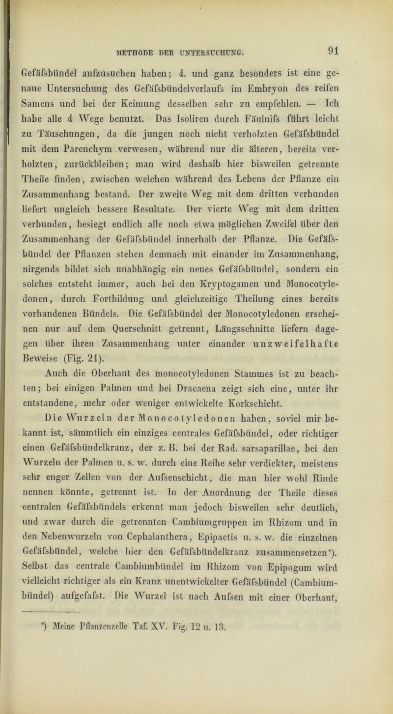 Gefäfsbündel aufzusuchen haben; 4. und ganz besonders ist eine ge- naue Untersuchung des Gefäfsbündelverlaufs im Embrjon des reifen Samens und bei der Keimung desselben sehr zu empfehlen. — Ich habe alle 4 Wege benutzt. Das Isoliren durch Fäulnifs führt leicht zu Täuschungen, da die jungen noch nicht verholzten Gefäfsbündel mit dem Parenchym verwesen, während nur die älteren, bereits ver- holzten, Zurückbleiben; man wird deshalb hier bisweilen getrennte Theile finden, zwischen welchen während des Lebens der Pflanze ein Zusammenhang bestand. Der zweite Weg mit dem dritten verbunden liefert ungleich bessere Resultate. Der vierte Weg mit dem dritten verbunden, besiegt endlich alle noch etwa möglichen Zweifel über den Zusammenhang der Gefäfsbündel innerhalb der Pflanze. Die Gefäfs- bündel der Pflanzen stehen demnach mit einander im Zusammenhang, nirgends bildet sich unabhängig ein neues Gefäfsbündel, sondern ein solches entsteht immer, auch bei den Kryptogamen und Monocotyle- donen, durch Fortbildung und gleichzeitige Theilung eines bereits vorhandenen Bündels. Die Gefäfshündel der Monocotyledonen erschei- nen nur auf dem Querschnitt getrennt, Längsschnitte liefern dage- gen über ihren Zusammenhang unter einander unzweifelhafte Beweise (Fig. 21). Auch die Oberhaut des monocotyledonen Stammes ist zu beach- ten; bei einigen Palmen und bei Dracaena zeigt sich eine, unter ihr entstandene, mehr oder weniger entwickelte Korkschicht. Die Wurzeln der Mo nocotyledonen haben, soviel mir be- kannt ist, sämmtlich ein einziges centrales Gefäfsbündel, oder richtiger einen Gefäfsbündelkranz, der z. B. bei der Rad. sarsaparillae, bei den Wurzeln der Palmen u. s. w. durch eine Reihe sehr verdickter, meistens sehr enger Zellen von der Aufsenschicht, die man hier wohl Rinde nennen könnte, getrennt ist. ln der Anordnung der Theile dieses zentralen Gefäfsbündels erkennt man jedoch bisweilen sehr deutlich, und zwar durch die getrennten Cambiuragruppen im Rhizom und in den Nebenwurzeln von Cephalanthera, Epipactis u. s. w. die einzelnen Gefäfsbündel, welche hier den Gefäfsbündelkranz zusammensetzen*). Selbst das centrale Cambiumbiindel im Rhizom von Epipogum wird vielleicht richtiger als ein Kranz unentwickelter Gefäfsbündel (Cambium- bündel) aufgefafst. Die Wurzel ist nach Aufsen mit einer Oberhaut, *) Meine Pflanzenzelle Taf. XV. Fig. 12 u. 13.