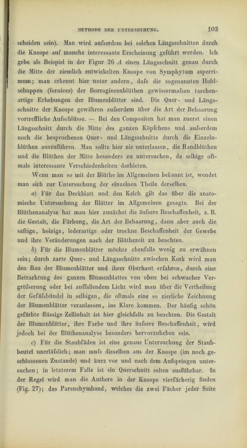scheiden sein). Man wird aufserdem bei solchen Längsschnitten durch die Knospe auf manche interessante Erscheinung geführt werden. Ich gebe als Beispiel in der Figur 26 A einen Längsschnitt genau durch die Mitte der ziemlich entwickelten Knospe von Symphytum asperri- mum; man erkennt hier unter andern, dafs die sogenannten Hohl- schuppen (fornices) der Borragineenblüthen gewissermafsen taschen- artige Erhebungen der Blumenblätter sind. Die Quer- und Längs- schnitte der Knospe gewähren aufserdem über die Art der Behaarung vortreffliche Aufschlüsse. ~ Bei den Compositen hat man zuerst einen Längsschnitt durch die Mitte des ganzen Köpfchens und aufserdem noch die besprochenen Quer- und Längsschnitte durch die Einzeln- blüthen auszuführen. Man sollte hier nie unterlassen, die Randblülhen und die Blüthen der Mitte besonders zu untersuchen, da selbige oft- mals interessante Verschiedenheiten darbieten. Wenn man so mit der Blülhe im Allgemeinen bekannt ist, wendet man sich zur Untersuchung der einzelnen Theile derselben. o) Für das Deckblatt und den Kelch gilt das über die anato- mische Untersuchung der Blätter im Allgemeinen gesagte. Bei der Blüthenanalyse hat man hier zunächst die äufsere Beschaffenheit, z. B. die Gestalt, die Färbung, die Art der Behaarung, dann aber auch die saftige, holzige, lederarlige oder trockne Beschaffenheit der Gewebe und ihre Veränderungen nach der Blüthezeit zu beachten. b) Für die Blumenblätter möchte ebenfalls wenig zu erwähnen sein; durch zarte Quer- und Längsschnitte zwischen Kork wird man den Bau der Blumenblätter und ihrer Oberhaut erfahren, durch eine Betrachtung des ganzen Blumenblattes von oben bei schwacher Ver- gröfserung oder bei auffallendem Licht wird man über die Vertheilung der Gefäfsbündel in selbigen, die oftmals eine so zierliche Zeichnung der Blumenblätter veranlassen, ins Klare kommen. Der häufig schön gefärbte flüssige Zellinhalt ist hier gleichfalls zu beachten. Die Gestalt der Blumenblätter, ihre Farbe und ihre äufsere Beschaffenheit, wird jedoch bei der Blüthenanalyse besonders hervorzuheben sein. c) Für die Staubfäden ist eine genaue Untersuchung der Staub- beutel unerläfslich; man mufs dieselben aus der Knospe (im noch ge- schlossenen Zustande) und kurz vor und nach dem Aufspringen unter- suchen; in letzterem Falle ist ein Querschnitt selten ausnthrbar. In der Regel wird man die Anthere in der Knospe vierfächerig finden (Fig. 27); das Parenchymband, welches die zwei Fächer jeder Seite