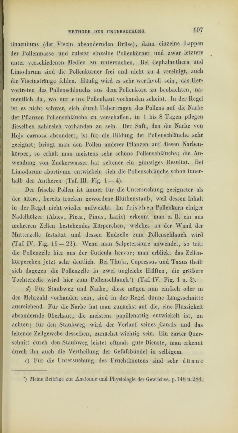 I tinaculuins (der Viscin absondernden Drüse), dann einzelne Lappen der Pollenmasse und zuletzt einzelne Pollenkörner und zwar letztere unter verschiedenen Medien zu untersuchen. Bei Cephalanthera und Limodorum sind die Pollenkörner frei und nicht zu 4 vereinigt, auch die Viscinstränge fehlen. Häufig wird es sehr werthvoll sein, das Her- vortreten des Pollenschlauchs aus dem Pollenkorn zu beobachten, na- I mentlich da, wo nur eine Pollenhaut vorhanden scheint. In der Kegel ist es nicht schwer, sich durch Ueberlragen des Pollens auf die Narbe der Pflanzen Pollenschläuche zu verschaffen, in 1 bis 8 Tagen pflegen dieselben zahlreich vorhanden zu sein. Der Saft, den die Narbe von lloja carnosa absondert, ist für die Bildung der Pollenschläuche sehr geeignet; bringt man den Pollen anderer Pflanzen auf diesen Narben- körper, so erhält man meistens sehr schöne Pollenschläuche; die An- wendung von Zuckerwasser hat seltener ein günstiges Resultat. Bei Limodorum abortivuni entwickeln sich die Pollenschläuche schon inner- halb der Antheren (Taf. HI. Fig. 1 — 4). Der frische Pollen ist immer für die Untersuchung geeigneter als der ältere, bereits trocken gewordene Blüthenstaub, weil dessen Inhalt in der Regel nicht wieder aufweicht. Im frischen Pollenkorn einiger Nadelhölzer (Abies, Picea, Pinus, Larix) erkennt man z. B. ein aus mehreren Zellen bestehendes Körperchen, welches an der Wand der 1 Mutterzelle festsitzt und dessen Endzeile zum Pollenschlauch wird (Taf. IV. Fig. 16 — 22). Wenn man Salpetersäure anwendet, so tritt die Pollenzelle hier aus der Cuticula hervor; man erblickt das Zellen- körperchen jetzt sehr deutlich. Bei Thuja, Cupressus und Taxus theilt sich dagegen die Pollenzelle in zwei ungleiche Hälften, die gröfsere Tochterzelle wird hier zum Pollenschlauch*) (Taf. IV. Fig. 1 u. 2). d) Für Staubweg und Narbe, diese mögen nun einfach oder in der Mehrzahl vorhanden sein, sind in der Regel dünne Längsschnitte ausreichend. Für die Narbe hat man zunächst auf die, eine Flüssigkeit absondernde Oberhaut, die meistens papillenartig entwickelt ist, zu achten; für den Staubweg wird der Verlauf seines ^Canals und das leitende Zellgewebe desselben, zunächst wiehtig sein. Ein zarter Quer- schnitt durch den Staubweg leistet oftmals gute Dienste, man erkennt durch ihn auch die Vertheilung der Gefäfsbündel in selbigem. e) Für die Untersuchung des Fruchtknotens sind sehr dünne