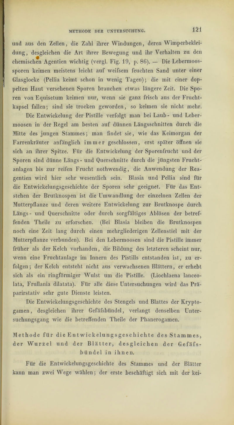 und aus den Zellen, die Zahl ihrer Windungen, deren Wimperbeklei- dung, desgleichen die Art ihrer Bewegung und ihr Verhalten zu den chemischen Agentien wichtig (vergl. Fig. 19, p. 86). — Die Lebermoos- sporen keimen meistens leicht auf weifsem feuchten Sand unter einer Glasglocke (Pellia keimt schon in wenig Tagen); die mit einer dop- pelten Haut versehenen Sporen brauchen etwas längere Zeit. Die Spo- ren von Equisetum keimen nur, wenn sie ganz frisch aus der Frucht- kapsel fallen; sind sie trocken geworden, so keimen sie nicht mehr. Die Entwickelung der Pistille verfolgt man bei Laub- und Leber- moosen in der Regel am besten auf dünnen Längsschnitten durch die Mitte des jungen Stammes; man findet sie, wie das Keimorgan der Farrenkräuter anfänglich immer geschlossen, erst später öffnen sie sich an ihrer Spitze. Für die Entwickelung der Sporenfrucht und der Sporen sind dünne Längs - und Querschnitte durch die jüngsten Frucht- anlagen bis zur reifen Frucht nothwendig, die Anwendung der Rea- gentien wird hier sehr wesentlich sein. Blasia und Pellia sind für die Entwickelungsgeschichte der Sporen sehr geeignet. Für das Ent- stehen der Brutknospen ist die Umwandlung der einzelnen Zellen der Mutterpflanze und deren weitere Entwickelung zur Brutknospe durch Längs- und Querschnitte oder durch sorgfältiges Ablösen der betref- fenden Theile zu erforschen, (Bei Blasia bleiben die Brutknospen noch eine Zeit lang durch einen mehrgliederigen Zellenstiel mit der Mutterpflanze verbunden). Bei den Lebermoosen sind die Pistille immer früher als der Kelch vorhanden, die Bildung des letzteren scheint nur, wenn eine Fruchtanlage im Innern des Pistills entstanden ist, zu er- folgen; der Kelch entsteht nicht aus verwachsenen Blättern, er erhebt sich als ein ringförmiger Wulst um die Pistille. (Liochlaena lanceo- lata, Frullania dilatata). Für alle diese Untersuchungen wird das Prä- parirstativ sehr gute Dienste leisten. Die Entwickelungsgeschichte des Stengels und Blattes der Krypto- gamen, desgleichen ihrer Gefäfsbündel, verlangt denselben Unter- suchungsgang wie die betreffenden Theile der Phanerogamen. Methode für die Entwickelungsgeschichte des Stammes, der Wurzel und der Blätter, desgleichen der Gefäfs- bündel in ihnen. Für die Entwickelungsgeschichte des Stammes und der Blätter kann man zwei Wege wählen; der erste beschäftigt sich mit der kei-