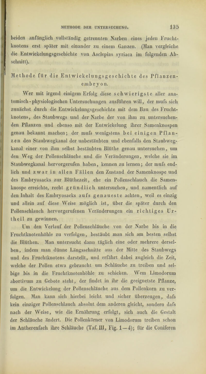 i beiden anfänglich vollständig getrennten Narben eines jeden Frucht- knotens erst später mit einander zu einem Ganzen. (Man vergleiche die Entwickelungsgeschichte von Asclepias sjriaca im folgenden Ab- schnitt). Methode für die Entwickelungsgeschichte des Pflanzen- embry on. Wer mit irgend einigem Erfolg diese schwierigste aller ana- tomisch-physiologischen Untersuchungen ausführen will, der mufs sich zunächst durch die Entwickelungsgeschichte mit dem Bau des Frucht- knotens, des Staubwegs und der Narbe der von ihm zu untersuchen- den Pflanzen und ebenso mit der Entwickelung ihrer Samenknospen genau bekannt machen; der mufs wenigstens bei einigen Pflan- zen den Staubwegkanal der unbestäubten und ebenfalls den Staubweg- kanal einer von ihm selbst bestäubten Blüthe genau untersuchen, um den Weg der Pollenschläuche und die Veränderungen, welche sie im Staubwegkanal hervorgerufen haben, kennen zu lernen; der mufs end- lich und zwar in allen Fällen den Zustand der Samenknospe und des Embryosacks zur Blüthezeit, ehe ein Pollenschlauch die Samen- knospe erreichte, recht gründlich untersuchen, und namentlich auf den Inhalt des Embryosacks aufs genaueste achten, weil es einzig und allein auf diese Weise möglich ist, über die später durch den Pollenschlauch hervor gerufenen Veränderungen ein richtiges Ur- theil zu gewinnen. Um den Verlauf der Pollenschläuche von der Narbe bis in die Fruchlknotenhöhle zu verfolgen, bestäubt man sich am besten selbst die Blüthen. Man untersucht dann täglich eine oder mehrere dersel- bexi, indem man dünne Längsschnitte aus der Mitte des Staubwegs und des Fruchtknotens darstellt, und erfährt dabei zugleich die Zeit, welche der Pollen etwa gebraucht um Schläuche zu treiben und sel- bige bis in die Fruchtknotenhöhle zu schicken. Wem Limodorum abortivum zu Gebote steht, der findet in ihr die geeignetste Pflanze, um die Entwickelung der Pollenschläuche aus dem Pollenkorn zu ver- folgen. Man kann sich hierbei leicht und sicher überzeugen, dafs kein einziger Pollenschlauch absolut dem anderen gleicht, sondern dafs nach der Weise, wie die Ernährung erfolgt, sich auch die Gestalt der Schläuche ändert. Die Pollenkörner von Limodorum treiben schon im Antherenfach ihre Schläuche (Taf. 111, Fig. 1 — 4); für die Coniferen