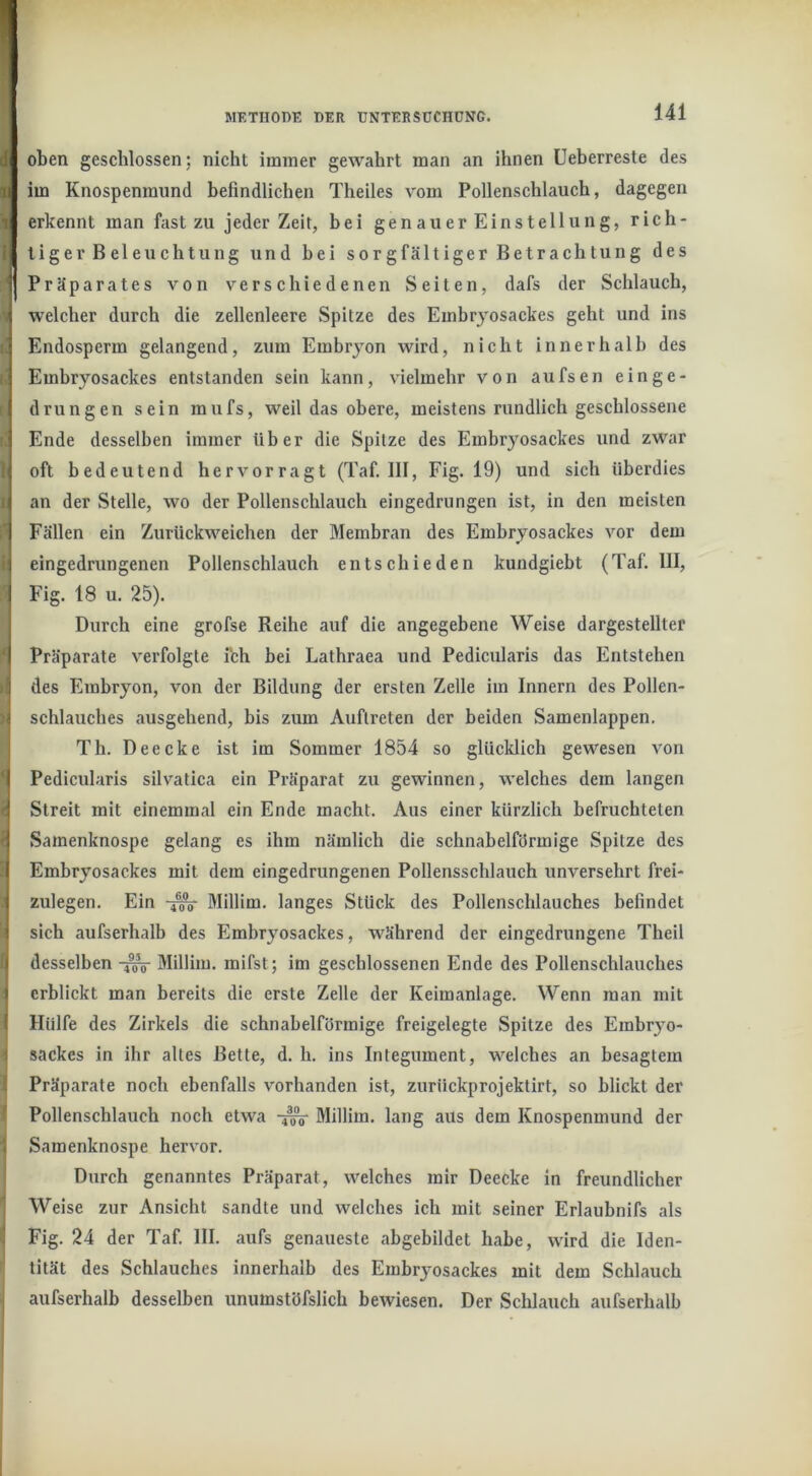 oben geschlossen; nicht immer gewahrt man an ihnen Ueberreste des im Knospenmimd befindlichen Theiles vom Pollenschlauch, dagegen erkennt man fast zu jeder Zeit, bei genauerEinstellung, rich- tiger Beleuchtung und hei sorgfältiger Betrachtung des Präparates von verschiedenen Seiten, dafs der Schlauch, welcher durch die zellenleere Spitze des Embryosackes geht und ins i Endosperm gelangend, zum Embryon wird, nicht innerhalb des i Embryosackes entstanden sein kann, vielmehr von aufsen einge- I drungen sein mufs, weil das obere, meistens rundlich geschlossene ^ Ende desselben immer über die Spitze des Emhryosackes und zwar äoft bedeutend hervorragt (Taf. 111, Fig. 19) und sich überdies an der Stelle, wo der Pollenschlauch eingedrungen ist, in den meisten Fällen ein Zurückweichen der Membran des Embryosackes vor dem ( eingedrungenen Pollenschlauch entschieden kundgiebt (Taf. 111, P Fig. 18 u. 25). Durch eine grofse Reihe auf die angegebene Weise dargestellter f Präparate verfolgte ich bei Lathraea und Pedicularis das Entstehen des Embryon, von der Bildung der ersten Zelle im Innern des Pollen- 1 Schlauches ausgehend, bis zum Auftreten der beiden Samenlappen. Th. Deecke ist im Sommer 1854 so glücklich gewesen von Pedicularis silvatica ein Präparat zu gewinnen, welches dem langen Streit mit einemmal ein Ende macht. Aus einer kürzlich befruchteten Samenknospe gelang es ihm nämlich die schnabelförmige Spitze des Embryosackes mit dem eingedrungenen Pollensschlauch unversehrt frei- zulegen. Ein Millim. langes Stück des Pollenschlauches befindet sich aufserhalb des Embrjmsackes, während der eingedrungene Theil desselben -4^ Millim. mifst; im geschlossenen Ende des Pollenschlauches erblickt man bereits die erste Zelle der Keimanlage. Wenn man mit Hülfe des Zirkels die schnabelförmige freigelegte Spitze des Embryo- sackes in ihr altes Bette, d. h. ins Integument, welches an besagtem Präparate noch ebenfalls vorhanden ist, zurückprojektirt, so blickt der f Pollenschlauch noch etwa -5^ Millim. lang aus dem Knospenmund der ‘ Samenknospe hervor. Durch genanntes Präparat, welches mir Deecke in freundlicher Weise zur Ansicht sandte und welches ich mit seiner Erlaubnifs als Fig. 24 der Taf. 111. aufs genaueste abgebildet habe, wird die Iden- tität des Schlauches innerhalb des Embrj'osackes mit dem Schlauch aufserhalb desselben unumstöfslich bewiesen. Der Sclilauch aufserhalb