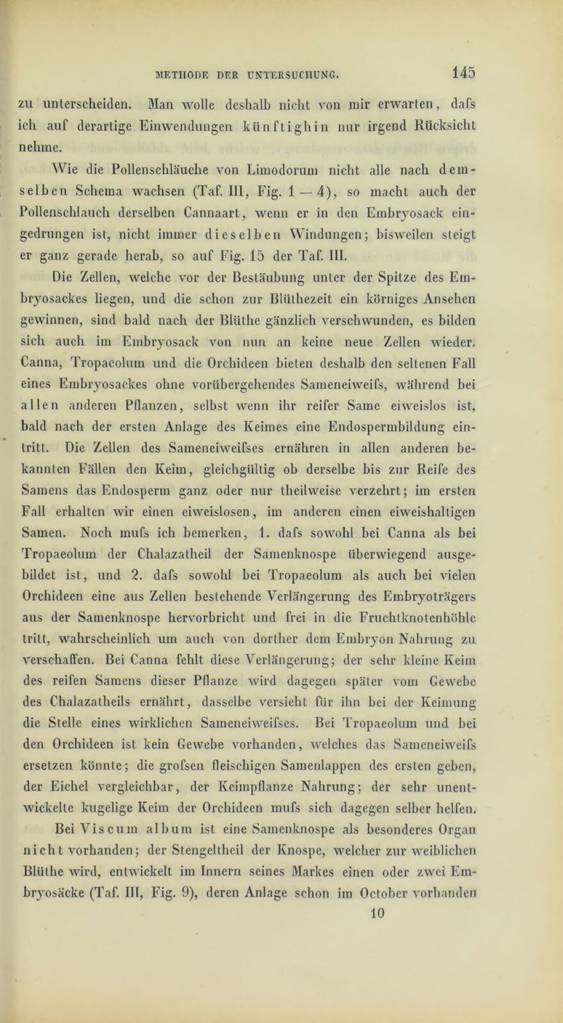 ZU unterscheiden. Man wolle deshalb nicht von mir erwarten, dafs ich auf derartige Einwendungen künftighin nur irgend Rücksicht nehme. Wie die Pollenschläuche von Limodorum nicht alle nach dem- selben »Schema wachsen (Taf. III, Fig. 1 — 4), so macht auch der Pollenschlauch derselben Cannaart, wenn er in den Erabryosack ein- gedrungen ist, nicht immer dieselben Windungen; bisweilen steigt er ganz gerade herab, so auf Fig. 15 der Taf. III. Die Zellen, welche vor der Bestäubung unter der Spitze des Em- bryosackes liegen, und die schon zur Blüthezeit ein körniges Ansehen gewinnen, sind bald nach der Blüthe gänzlich verschwunden, es bilden sich auch im Embryosack von nun an keine neue Zellen wieder. Canna, Tropacolum und die Orchideen bieten deshalb den seltenen Fall eines Embryosackes ohne vorübergehendes Sameneiweifs, während bei allen anderen Pflanzen, selbst wenn ihr reifer Same eiweislos ist, bald nach der ersten Anlage des Keimes eine Endospermbildung ein- tritt. Die Zellen des Sameneiweifses ernähren in allen anderen be- kannten Fällen den Keim, gleichgültig ob derselbe bis zur Reife des Samens das Endosperm ganz oder nur iheilweise verzehrt; im ersten Fall erhalten wir einen eiweislosen, im anderen einen eiweishalligen Samen. Noch mufs ich bemerken, 1. dafs sowohl bei Canna als bei Tropaeolnm der Chalazatheil der Samenknospe überwiegend ausge- bildet ist, und 2. dafs sowohl bei Tropaeolum als auch bei vielen Orchideen eine aus Zellen bestehende Verlängerung des Embryoträgers aus der Samenknospe hervorbricht und frei in die Fruchtknotenhöhle tritt, wahrscheinlich um auch von dorther dem Embryon Nahrung zu verschaffen. Bei Canna fehlt diese Verlängerung; der sehr kleine Keim des reifen Samens dieser Pflanze wird dagegen später vom Gewebe des Chalazatheils ernährt, dasselbe versieht für ihn bei der Keimung die Stelle eines wirklichen Sameneiweifses. Bei Tropaeolum und bei den Orchideen ist kein Gewebe vorhanden, welches das Sameneiweifs ersetzen könnte; die grofsen fleischigen Samenlappen des ersten geben, der Eichel vergleichbar, der Keimpflanze Nahrung; der sehr unent- wickelte kugelige Keim der Orchideen mufs sich dagegen selber helfen. BeiViscum album ist eine Samenknospe als besonderes Organ nicht vorbanden; der »Stengellheil der Knospe, welcher zur weiblichen Blüthe wird, entwickelt im Innern seines Markes einen oder zwei Em- bryosäcke (Taf. III, Fig. 9), deren Anlage schon im October vorhanden 10