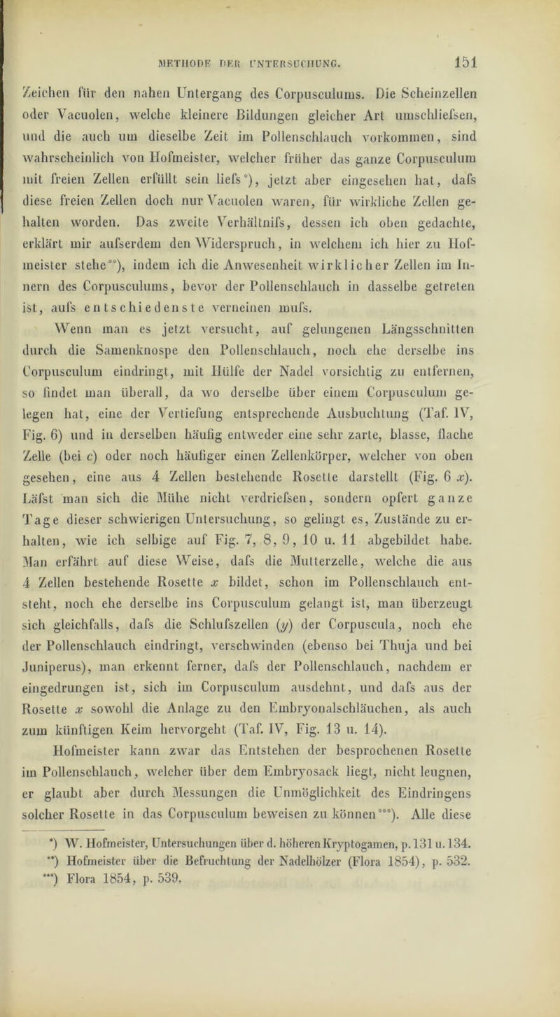 Zeichen für den nahen Untergang des Corpuscuhims. Die Scheinzellen oder Vacuolen, welche kleinere Bildungen gleicher Art uinschliefsen, und die auch um dieselbe Zeit im Pollenschlauch Vorkommen, sind wahrscheinlich von Hofmeister, welcher früher das ganze Corpusculura mit freien Zellen erfüllt sein liefs°), jetzt aber eingesehen hat, dafs diese freien Zellen doch nur Vacuolen waren, für wirkliche Zellen ge- halten worden. Das zweite Verhältnifs, dessen ich oben gedachte, erklärt mir aufserdem den Widerspruch, in welchem ich hier zu Hof- meister stehe”), indem ich die Anwesenheit wirklicher Zellen im In- nern des Corpuscuhims, bevor der Pollenschlauch in dasselbe getreten ist, aufs entschiedenste verneinen mufs. Wenn man es jetzt versucht, auf gelungenen Längsschnitten durch die Samenknospe den Pollenschlauch, noch ehe derselbe ins Corpusculum eindringt, mit Hülfe der Nadel vorsichtig zu entfernen, so findet man überall, da wo derselbe über einem Corpusculum ge- legen hat, eine der Vertiefung entsprechende Ausbuchtung (Taf. IV, Fig. 6) und in derselben häufig entweder eine sehr zarte, blasse, flache Zelle (bei c) oder noch häufiger einen Zellenkörper, welcher von oben gesehen, eine aus 4 Zellen bestehende Rosette darstellt (Fig. 6 a;). Läfst man sich die Mühe nicht verdriefsen, sondern opfert ganze Tage dieser schwierigen Untersuchung, so gelingt es, Zustände zu er- halten, wie ich selbige auf Fig. 7, 8, 9, 10 u. 11 abgebildet habe. .Man erfährt auf diese Welse, dafs die Mutterzelle, welche die aus 4 Zellen bestehende Rosette x bildet, schon im Pollenschlauch ent- steht, noch ehe derselbe ins Corpusculum gelangt ist, man überzeugt sich gleichfalls, dafs die Schlufszellen (y) der Corpuscula, noch ehe der Pollenschlauch eindringt, verschwinden (ebenso bei Thuja und bei Juniperus), man erkennt ferner, dafs der Pollenschlauch, nachdem er eingedrungen ist, sich im Corpusculum ausdehnt, und dafs aus der Rosette x sowohl die Anlage zu den Embryonalschläuchen, als auch zum künftigen Keim hervorgeht (Taf. IV, Fig. 13 u. 14). Hofmeister kann zwar das Entstehen der besprochenen Rosette im Pollenschlauch, welcher über dem Embryosack liegt, nicht leugnen, er glaubt aber durch Messungen die Unmöglichkeit des Eindringens solcher Rosette in das Corpusculum beweisen zu können“”). Alle diese *) W. Hofmeister, Untersuchungen über d. höheren Kryptogamen, p. 131 u. 134. '*) Hofmeister über die Befruchtung der Nadelhölzer (Flora 1854), p. 532. •) Flora 1854, p. 539.
