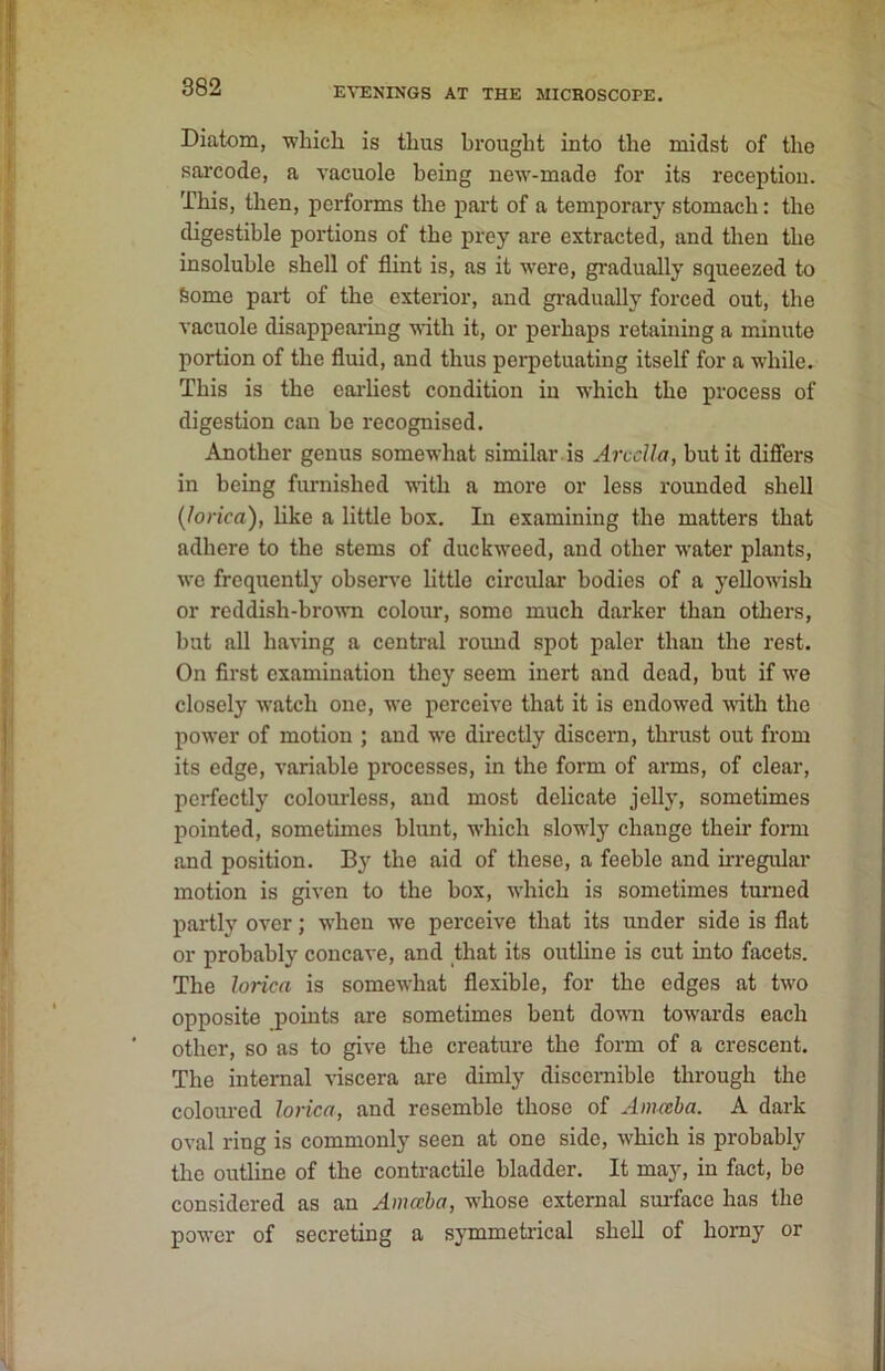 Diatom, -whicli is thus brought into the midst of the sarcode, a vacuole being neAv-made for its reception. This, then, performs the part of a temporary stomach: the digestible portions of the prey are extracted, and then the insoluble shell of flint is, as it were, gi'adually squeezed to Some part of the exterior, and gradually forced out, the vacuole disappearing with it, or perhaps retaining a minute portion of the fluid, and thus perpetuating itself for a while. This is the earliest condition in which the process of digestion can be recognised. Another genus somewhat similar .is ArccUa, but it differs in being furnished with a more or less rounded shell (lorica), like a little box. In examining the matters that adhere to the stems of duckweed, and other water plants, we frequently obsen’e little circular bodies of a yellowish or reddish-brown colour, some much darker than others, but all having a central round spot paler than the rest. On flrst examination they seem inert and dead, but if we closely watch one, we perceive that it is endowed ■nith the power of motion ; and we directly discern, thrust out from its edge, variable processes, in the form of arms, of clear, perfectly colomdess, and most delicate jelly, sometimes pointed, sometimes blunt, which slowly change their form and position. By the aid of these, a feeble and irregular motion is given to the box, which is sometimes turned partly over; when we perceive that its under side is flat or probably concave, and that its outline is cut into facets. The lorica is somewhat flexible, for the edges at two opposite points are sometimes bent down towai’ds each other, so as to give the creature the form of a crescent. The internal viscera are dimly discernible through the colom-ed lorica, and resemble those of Amceha. A dark oval ring is commonly seen at one side, which is probably tlie outline of the contractile bladder. It may, in fact, be considered as an Amoeba, whose external sui-face has the power of secreting a symmetrical shell of homy or