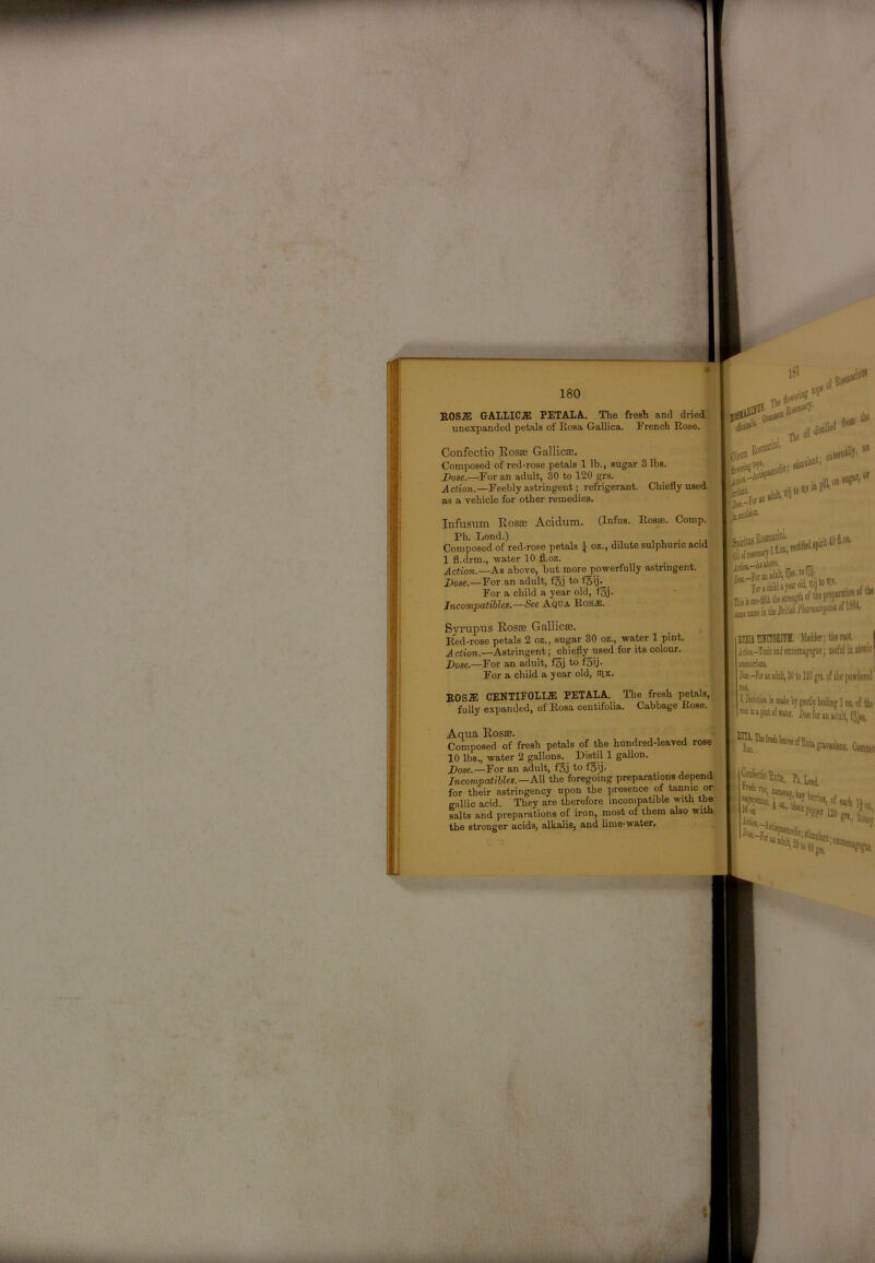 EOS^ GALLICS PETALA. The fresh and dried unexpanded petals of Kosa Gallica. French Eose. Confectio Eosse Gallicte. Composed of red-rose petals 1 lb., sugar 3 lbs. Bose.—For an adult, 30 to 120 grs. Action.—Feebly astringent; refrigerant. Chiefly used ^ as a vehicle for other remedies. Infusum Eosae Acidum. (Infus. Eosse. Comp.^>^ Ph. Loud.) _ , , . Composed of red-rose petals oz., dilute sulphuric acid 1 fl.drm., water 10 fl.oz. _ Action.—As above, but more powerfully astringent. 2)ose.—For an adult, fSj to fgij. S For a child a year old, fSj- t ' Incompatibles,—See Aqua Eosje. F- 151 top* fr)B> tlx .. Tbeofl' 8^' eiten.»8y- Uio{K«^l8oi.,r’ Syrupus Eosas GallicsB. Eed-rose petals 2 oz., sugar 30 oz., water 1 pint. Action.—Astringent; chiefly used for its colour. Bose.—For an adult, f3j to f5ij. For a child a year old, lUx. itOulsM' pil!,( iaotlSSli Bsenuieu EOS.® CENTIFOLLE PETALA. The fresh petals, fully expanded, of Eosa centifolia. Cabbage Eose. ElIAfflCIOEIUM, Madder; the root I and emmenagogoe; luefal in alewt | D«.-F« an adnlt, 80 to 120 gra, of the powdered nd AitediM ii made hy gently boiling I oi, of the Minaptofiakr, I)«efor an adult, f^jaj. i -( I Aqua Eosae. Composed of fresh petals of the hundred-leaved rose 10 lbs., water 2 gallons^ Distil 1 gallon. Bose.—For an adult, f5j to fgij. Incompatibles.—All the foregoing preparations depend for their astringency upon the presence of tannic or gallic acid. They are therefore incompatible with the salts and preparations of iron, most of them also with the stronger acids, alkalis, and lime-water. t I 8h. Lond, ie», ®l*tinmla(. 16 ot ^-h ieniineiji