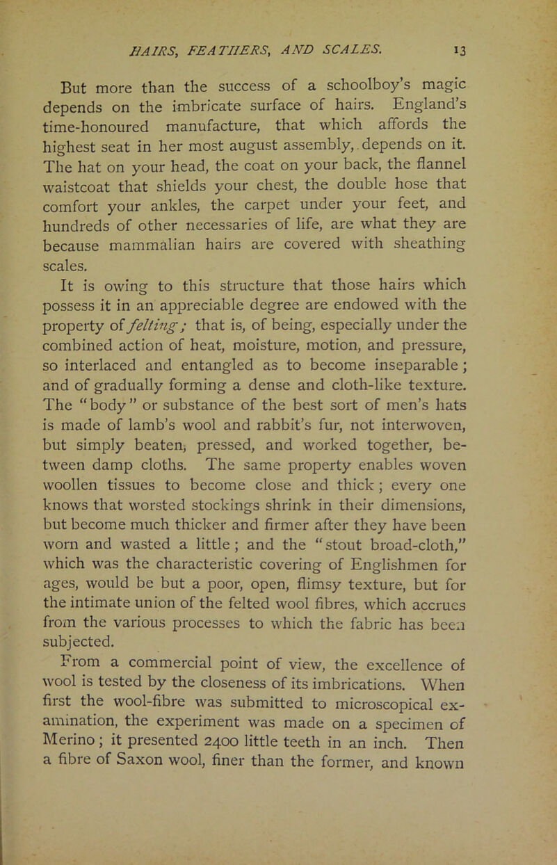 But more than the success of a schoolboy’s magic depends on the imbricate surface of hairs. England’s time-honoured manufacture, that which affords the highest seat in her most august assembly,. depends on it. The hat on your head, the coat on your back, the flannel waistcoat that shields your chest, the double hose that comfort your ankles, the carpet under your feet, and hundreds of other necessaries of life, are what they are because mammalian hairs are covered with sheathing scales. It is owing to this structure that those hairs which possess it in an appreciable degree are endowed with the property of felting; that is, of being, especially under the combined action of heat, moisture, motion, and pressure, so interlaced and entangled as to become inseparable; and of gradually forming a dense and cloth-like texture. The “ body ” or substance of the best sort of men’s hats is made of lamb’s wool and rabbit’s fur, not interwoven, but simply beaten, pressed, and worked together, be- tween damp cloths. The same property enables woven woollen tissues to become close and thick ; every one knows that worsted stockings shrink in their dimensions, but become much thicker and firmer after they have been worn and wasted a little; and the “stout broad-cloth,” which was the characteristic covering of Englishmen for ages, would be but a poor, open, flimsy texture, but for the intimate union of the felted wool fibres, which accrues from the various processes to which the fabric has been subjected. From a commercial point of view, the excellence of wool is tested by the closeness of its imbrications. When first the wool-fibre was submitted to microscopical ex- amination, the experiment was made on a specimen of Merino; it presented 2400 little teeth in an inch. Then a fibre of Saxon wool, finer than the former, and known