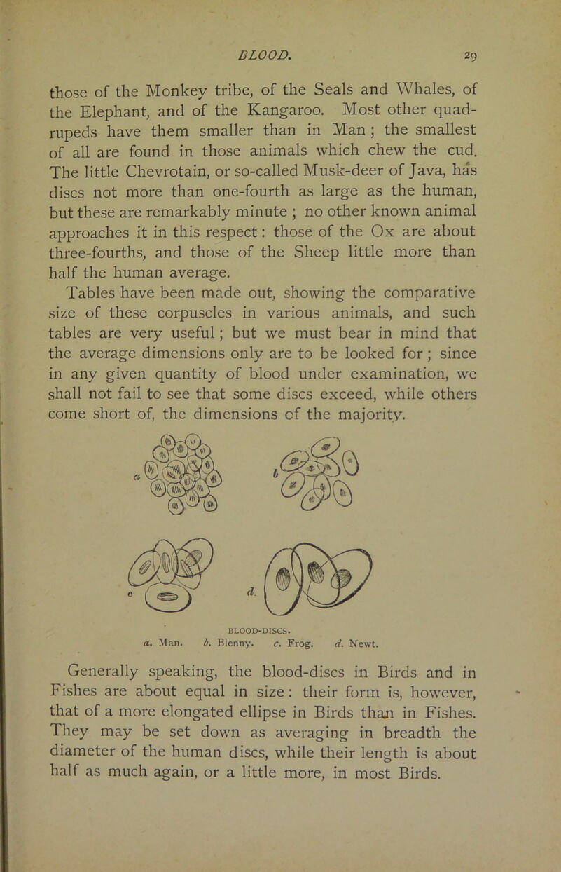 those of the Monkey tribe, of the Seals and Whales, of the Elephant, and of the Kangaroo. Most other quad- rupeds have them smaller than in Man ; the smallest of all are found in those animals which chew the cud. The little Chevrotain, or so-called Musk-deer of Java, has discs not more than one-fourth as large as the human, but these are remarkably minute ; no other known animal approaches it in this respect: those of the Ox are about three-fourths, and those of the Sheep little more than half the human average. Tables have been made out, showing the comparative size of these corpuscles in various animals, and such tables are very useful; but we must bear in mind that the average dimensions only are to be looked for ; since in any given quantity of blood under examination, we shall not fail to see that some discs exceed, while others come short of, the dimensions cf the majority. Generally speaking, the blood-discs in Birds and in Fishes are about equal in size: their form is, however, that of a more elongated ellipse in Birds thaji in Fishes. They may be set down as averaging in breadth the diameter of the human discs, while their length is about half as much again, or a little more, in most Birds.