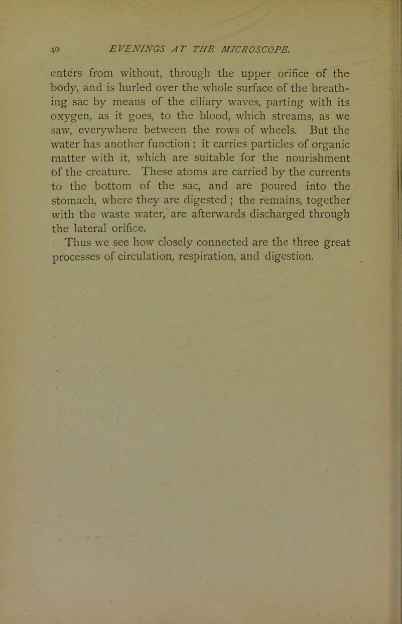 enters from without, through the upper orifice of the body, and is hurled over the whole surface of the breath- ing sac by means of the ciliary waves, parting with its oxygen, as it goes, to the blood, which streams, as we saw, everywhere between the rows of wheels. But the water has another function : it carries particles of organic matter with it, which are suitable for the nourishment of the creature. These atoms are carried by the currents to the bottom of the sac, and are poured into the stomach, where they are digested ; the remains, together with the waste water, are afterwards discharged through the lateral orifice. Thus we see how closely connected are the three great processes of circulation, respiration, and digestion.