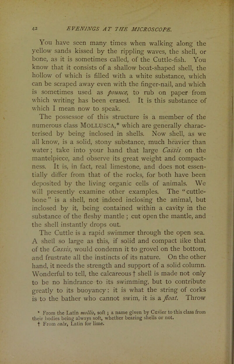 You have seen many times when walking along the yellow sands kissed by the rippling waves, the shell, or bone, as it is sometimes called, of the Cuttle-fish. You know that it consists of a shallow boat-shaped shell, the hollow of which is filled with a white substance, which can be scraped away even with the finger-nail, and which is sometimes used as pounce, to rub on paper from which writing has been erased. It is this substance of which I mean now to speak. The possessor of this structure is a member of the numerous class MOLLUSCA,* which are generally charac- terised by being inclosed in shells. Now shell, as we all know, is a solid, stony substance, much heavier than water; take into your hand that large Cassis on the mantelpiece, and observe its great weight and compact- ness. It is, in fact, real limestone, and does not essen- tially differ from that of the rocks, for both have been deposited by the living organic cells of animals. We will presently examine other examples. The “cuttle- bone ” is a shell, not indeed inclosing the animal, but inclosed by it, being contained within a cavity in the substance of the fleshy mantle ; cut open the mantle, and the shell instantly drops out. The Cuttle is a rapid swimmer through the open sea. A shell so large as this, if solid and compact like that of the Cassis, would condemn it to grovel on the bottom, and frustrate all the instincts of its nature. On the other hand, it needs the strength and support of a solid column. Wonderful to tell, the calcareous! shell is made not only to be no hindrance to its swimming, but to contribute greatly to its buoyancy: it is what the string of corks is to the bather who cannot swim, it is a float. Throw * From the Latin mollis, soft; a name given by Cuvier to this class from their bodies being always soft, whether bearing shells or not. t From calx, Latin for lime.