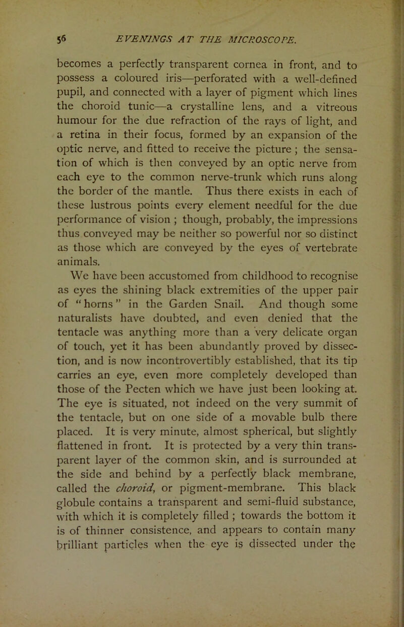 becomes a perfectly transparent cornea in front, and to possess a coloured iris—perforated with a well-defined pupil, and connected with a layer of pigment which lines the choroid tunic—a crystalline lens, and a vitreous humour for the due refraction of the rays of light, and a retina in their focus, formed by an expansion of the optic nerve, and fitted to receive the picture ; the sensa- tion of which is then conveyed by an optic nerve from each eye to the common nerve-trunk which runs along the border of the mantle. Thus there exists in each of these lustrous points every element needful for the due performance of vision ; though, probably, the impressions thus conveyed may be neither so powerful nor so distinct as those which are conveyed by the eyes of vertebrate animals. We have been accustomed from childhood to recognise as eyes the shining black extremities of the upper pair of “horns” in the Garden Snail. And though some naturalists have doubted, and even denied that the tentacle was anything more than a very delicate organ of touch, yet it has been abundantly proved by dissec- tion, and is now incontrovertibly established, that its tip carries an eye, even more completely developed than those of the Pecten which we have just been looking at. The eye is situated, not indeed on the very summit of the tentacle, but on one side of a movable bulb there placed. It is very minute, almost spherical, but slightly flattened in front. It is protected by a very thin trans- parent layer of the common skin, and is surrounded at the side and behind by a perfectly black membrane, called the choroid, or pigment-membrane. This black globule contains a transparent and semi-fluid substance, with which it is completely filled ; towards the bottom it is of thinner consistence, and appears to contain many brilliant particles when the eye is dissected under the
