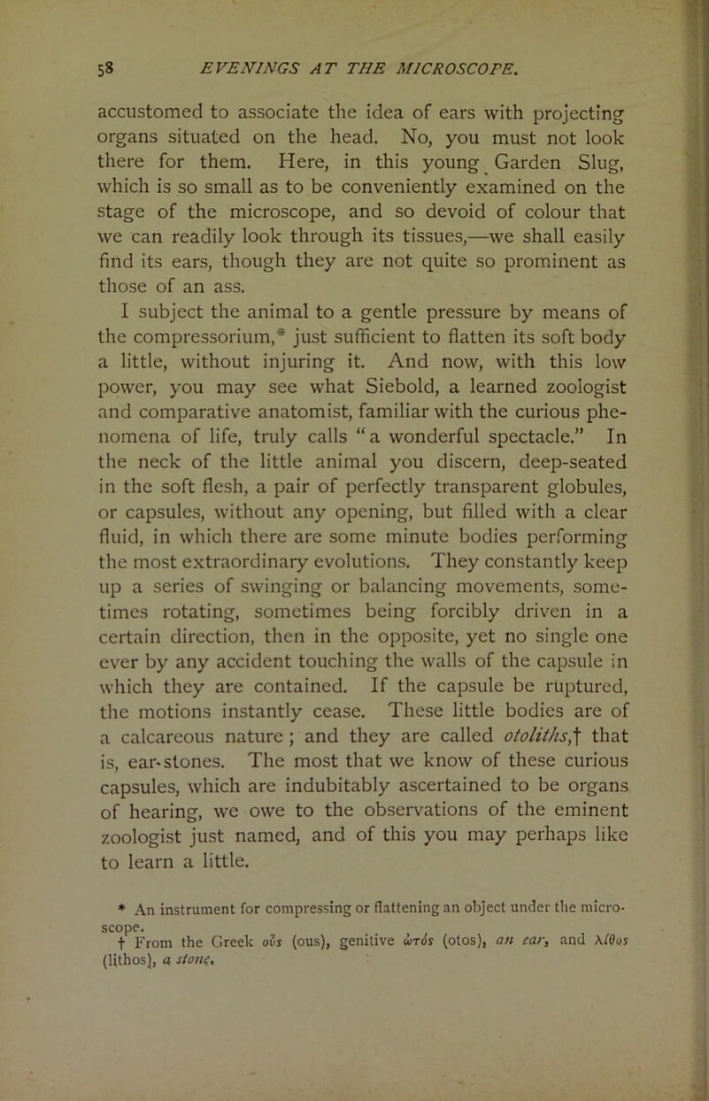 accustomed to associate the idea of ears with projecting organs situated on the head. No, you must not look there for them. Here, in this young Garden Slug, which is so small as to be conveniently examined on the stage of the microscope, and so devoid of colour that we can readily look through its tissues,—we shall easily find its ears, though they are not quite so prominent as those of an ass. I subject the animal to a gentle pressure by means of the compressorium,* just sufficient to flatten its soft body a little, without injuring it. And now, with this low power, you may see what Siebold, a learned zoologist and comparative anatomist, familiar with the curious phe- nomena of life, truly calls “a wonderful spectacle.” In the neck of the little animal you discern, deep-seated in the soft flesh, a pair of perfectly transparent globules, or capsules, without any opening, but filled with a clear fluid, in which there are some minute bodies performing the most extraordinary evolutions. They constantly keep up a series of swinging or balancing movements, some- times rotating, sometimes being forcibly driven in a certain direction, then in the opposite, yet no single one ever by any accident touching the walls of the capsule in which they are contained. If the capsule be ruptured, the motions instantly cease. These little bodies are of a calcareous nature ; and they are called otoliths,f that is, ear* stones. The most that we know of these curious capsules, which are indubitably ascertained to be organs of hearing, we owe to the observations of the eminent zoologist just named, and of this you may perhaps like to learn a little. * An instrument for compressing or flattening an object under the micro- scope. f From the Greek ovs (ous), genitive wt6s (otos), an car, and \C9os (lithos), a static.