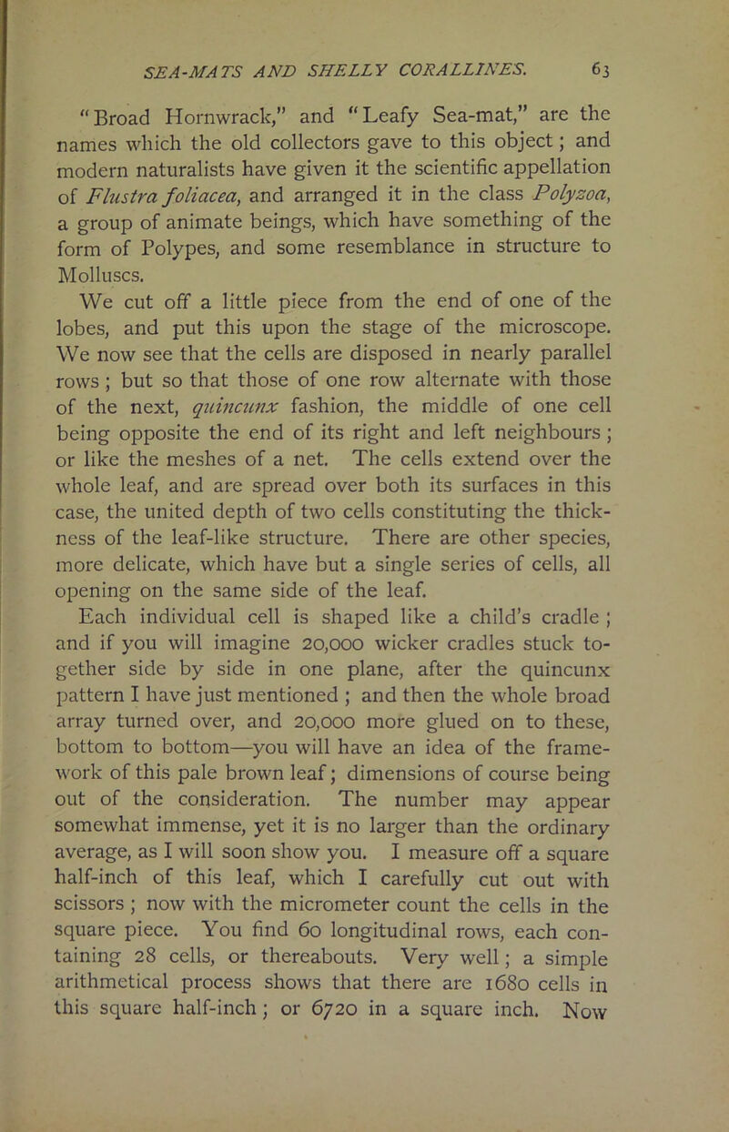 “Broad Hornwrack,” and “Leafy Sea-mat,” are the names which the old collectors gave to this object; and modern naturalists have given it the scientific appellation of Flustra foliacea, and arranged it in the class Polyzoa, a group of animate beings, which have something of the form of Polypes, and some resemblance in structure to Molluscs. We cut off a little piece from the end of one of the lobes, and put this upon the stage of the microscope. We now see that the cells are disposed in nearly parallel rows ; but so that those of one row alternate with those of the next, quincunx fashion, the middle of one cell being opposite the end of its right and left neighbours ; or like the meshes of a net. The cells extend over the whole leaf, and are spread over both its surfaces in this case, the united depth of two cells constituting the thick- ness of the leaf-like structure. There are other species, more delicate, which have but a single series of cells, all opening on the same side of the leaf. Each individual cell is shaped like a child’s cradle ; and if you will imagine 20,000 wicker cradles stuck to- gether side by side in one plane, after the quincunx pattern I have just mentioned ; and then the whole broad array turned over, and 20,000 more glued on to these, bottom to bottom—you will have an idea of the frame- work of this pale brown leaf; dimensions of course being out of the consideration. The number may appear somewhat immense, yet it is no larger than the ordinary average, as I will soon show you. I measure off a square half-inch of this leaf, which I carefully cut out with scissors ; now with the micrometer count the cells in the square piece. You find 60 longitudinal rows, each con- taining 28 cells, or thereabouts. Very well; a simple arithmetical process shows that there are 1680 cells in this square half-inch ; or 6720 in a square inch. Now