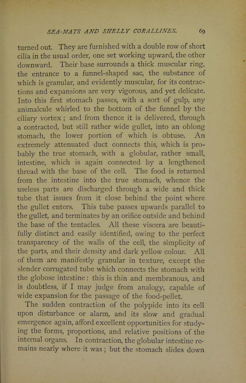 turned out. They are furnished with a double row of short cilia in the usual order, one set working upward, the other downward. Their base surrounds a thick muscular ring, the entrance to a funnel-shaped sac, the substance of which is granular, and evidently muscular, for its contrac- tions and expansions are very vigorous, and yet delicate. Into this first stomach passes, with a sort of gulp, any animalcule whirled to the bottom of the funnel by the ciliary vortex ; and from thence it is delivered, through a contracted, but still rather wide gullet, into an oblong stomach, the lower portion of which is obtuse. An extremely attenuated duct connects this, which is pro- bably the true stomach, with a globular, rather small, intestine, which is again connected by a lengthened thread with the base of the cell. The food is returned from the intestine into the true stomach, whence the useless parts are discharged through a wide and thick tube that issues from it close behind the point where the gullet enters. This tube passes upwards parallel to the gullet, and terminates by an orifice outside and behind the base of the tentacles. All these viscera are beauti- fully distinct and easily identified, owing to the perfect transparency of the walls of the cell, the simplicity of the parts, and their density and dark yellow colour. All of them are manifestly granular in texture, except the slender corrugated tube which connects the stomach with the globose intestine: this is thin and membranous, and is doubtless, if I may judge from analogy, capable of wide expansion for the passage of the food-pellet. The sudden contraction of the polypide into its cell upon disturbance or alarm, and its slow and gradual emergence again, afford excellent opportunities for study- ing the forms, proportions, and relative positions of the internal organs. In contraction, the globular intestine re- mains nearly where it was ; but the stomach slides down