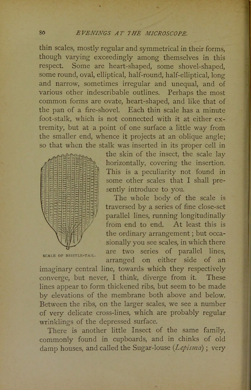 thin scales, mostly regular and symmetrical in their forms, though varying exceedingly among themselves in this respect. Some are heart-shaped, some shovel-shaped, some round, oval, elliptical, half-round, half-elliptical, long and narrow, sometimes irregular and unequal, and of various other indescribable outlines. Perhaps the most common forms are ovate, heart-shaped, and like that of the pan of a fire-shovel. Each thin scale has a minute foot-stalk, which is not connected with it at either ex- tremity, but at a point of one surface a little way from the smaller end, whence it projects at an oblique angle; so that when the stalk was inserted in its proper cell in the skin of the insect, the scale lay horizontally, covering the insertion. This is a peculiarity not found in some other scales that I shall pre- sently introduce to you. The whole body of the scale is traversed by a series of fine close-set parallel lines, running longitudinally from end to end. At least this is the ordinary arrangement; but occa- sionally you see scales, in which there are two series of parallel lines, arranged on either side of an imaginary central line, towards which they respectively converge, but never, I think, diverge from it. These lines appear to form thickened ribs, but seem to be made by elevations of the membrane both above and below. Between the ribs, on the larger scales, we see a number cf very delicate cross-lines, which are probably regular wrinklings of the depressed surface. There is another little Insect of the same family, commonly found in cupboards, and in chinks of old damp houses, and called the Sugar-louse (.Lepisma); very