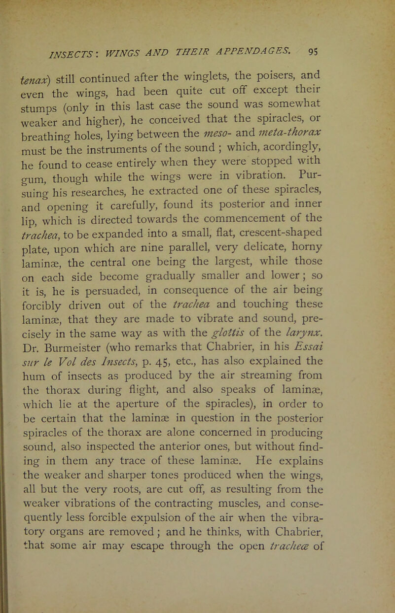 tenax) still continued after the winglets, the poisers, and even the wings, had been quite cut off except their stumps (only in this last case the sound was somewhat weaker and higher), he conceived that the spiracles, or breathing holes, lying between the meso- and meta-thorax must be the instruments of the sound ; which, acordingly, he found to cease entirely when they were stopped with gum, though while the wings were in vibration. Pur- suing his researches, he extracted one of these spiracles, and opening it carefully, found its posterior and inner lip, which is directed towards the commencement of the trachea, to be expanded into a small, flat, crescent-shaped plate, upon which are nine parallel, very delicate, horny laminae, the central one being the largest, while those on each side become gradually smaller and lower ; so it is, he is persuaded, in consequence of the air being forcibly driven out of the trachea and touching these laminae, that they are made to vibrate and sound, pre- cisely in the same way as with the glottis of the larynx. Dr. Burmeister (who remarks that Chabrier, in his Essai sur le Vol des Insects, p. 45, etc., has also explained the hum of insects as produced by the air streaming from the thorax during flight, and also speaks of laminae, which lie at the aperture of the spiracles), in order to be certain that the laminae in question in the posterior spiracles of the thorax are alone concerned in producing sound, also inspected the anterior ones, but without find- ing in them any trace of these laminae. He explains the weaker and sharper tones produced when the wings, all but the very roots, are cut off, as resulting from the weaker vibrations of the contracting muscles, and conse- quently less forcible expulsion of the air when the vibra- tory organs are removed ; and he thinks, with Chabrier, that some air may escape through the open tracheae of