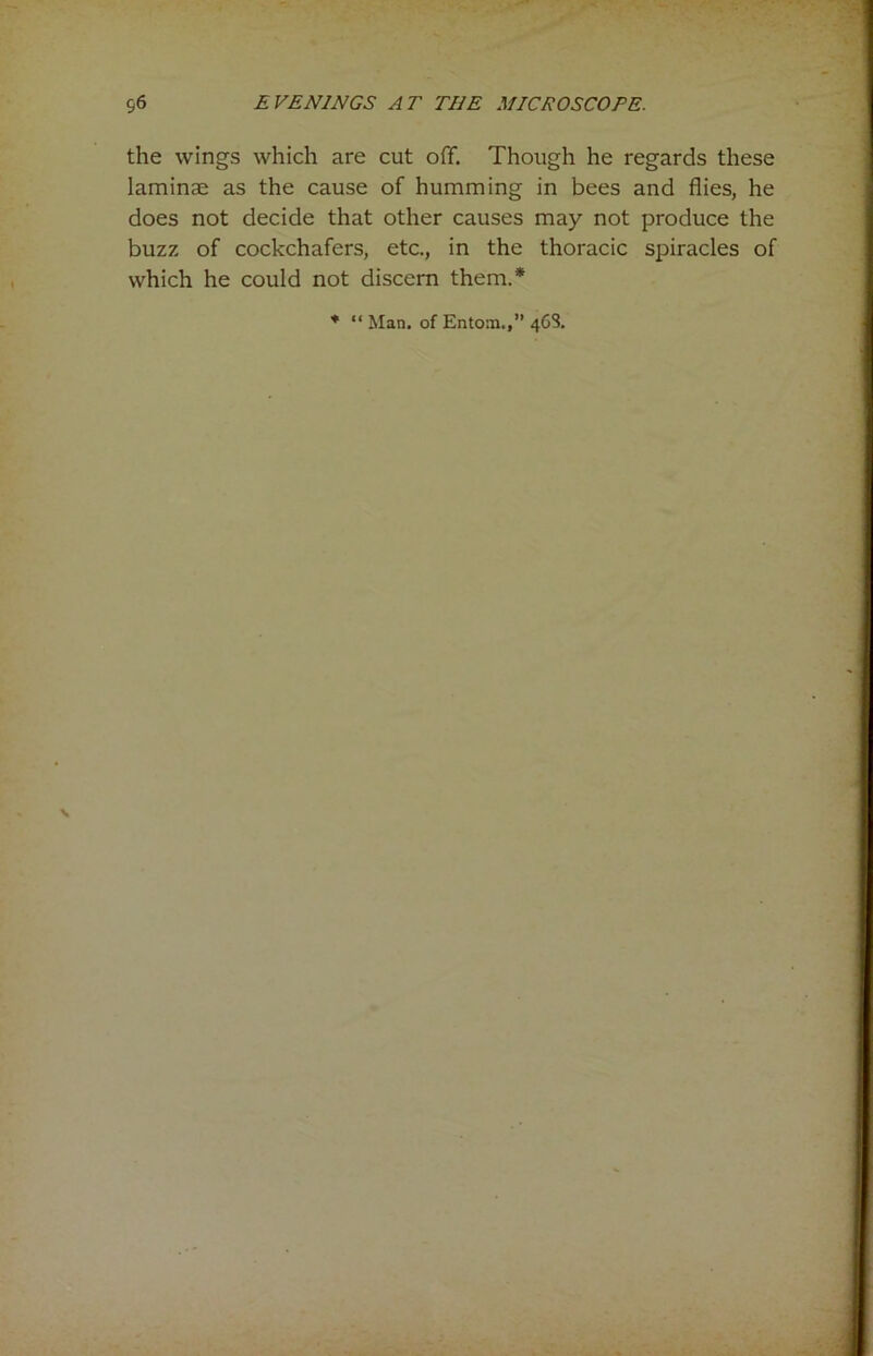 the wings which are cut off. Though he regards these laminae as the cause of humming in bees and flies, he does not decide that other causes may not produce the buzz of cockchafers, etc., in the thoracic spiracles of which he could not discern them.*