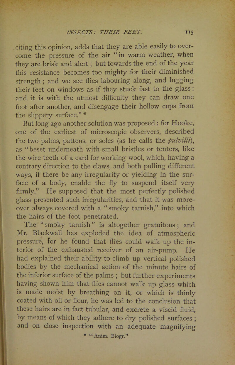 . citing this opinion, adds that they are able easily to over- come the pressure of the air “ in warm weather, when they are brisk and alert; but towards the end of the year this resistance becomes too mighty for their diminished strength; and we see flies labouring along, and lugging their feet on windows as if they stuck fast to the glass : and it is with the utmost difficulty they can draw one foot after another, and disengage their hollow cups from the slippery surface.” * But long ago another solution was proposed : for Hooke, one of the earliest of microscopic observers, described the two palms, pattens, or soles (as he calls the piilvilli), as “beset underneath with small bristles or tenters, like the wire teeth of a card for working wool, which, having a contrary direction to the claws, and both pulling different ways, if there be any irregularity or yielding in the sur- face of a body, enable the fly to suspend itself very firmly.” He supposed that the most perfectly polished glass presented such irregularities, and that it was more- over always covered with a “smoky tarnish,” into which the hairs of the foot penetrated. The “ smoky tarnish ” is altogether gratuitous ; and Mr. Blackwall has exploded the idea of atmospheric pressure, for he found that flies could walk up the in- terior of the exhausted receiver of an air-pump. He had explained their ability to climb up vertical polished bodies by the mechanical action of the minute hairs of the inferior surface of the palms ; but further experiments having shown him that flies cannot walk up glass which is made moist by breathing on it, or which is thinly coated with oil or flour, he was led to the conclusion that these hairs are in fact tubular, and excrete a viscid fluid, by means of which they adhere to dry polished surfaces ; and on close inspection with an adequate magnifying * “Anim. Biogr.”