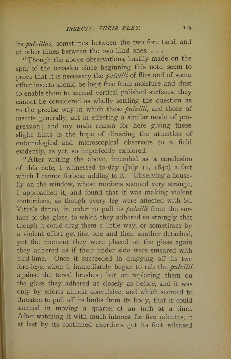 its pulvillus, sometimes between the two fore tarsi, and at other times between the two hind ones. . . . “ Though the above observations, hastily made on the spur of the occasion since beginning this note, seem to prove that it is necessary the pulvilli of flies and of some other insects should be kept free from moisture and dust to enable them to ascend vertical polished surfaces, they cannot be considered as wholly settling the question as to the precise way in which these pulvilli, and those of insects generally, act in effecting a similar mode of pro- gression ; and my main reason for here giving these slight hints is the hope of directing the attention of entomological and microscopical observers to a field evidently, as yet, so imperfectly explored. “After writing the above, intended as a conclusion of this note, I witnessed to-day (July n, 1842) a fact which I cannot forbear adding to it. Observing a house- fly on the window, whose motions seemed very strange, I approached it, and found that it was making violent contortions, as though every leg were affected with St. Vitus’s dance, in order to pull its pulvilli from the sur- face of the glass, to which they adhered so strongly that though it could drag them a little way, or sometimes by a violent effort get first one and then another detached, yet the moment they were placed on the glass again they adhered as if their under side were smeared with bird-lime. Once it succeeded in dragging off its two fore-legs, when it immediately began to rub the pulvilli against the tarsal brushes ; but on replacing them on the glass they adhered as closely as before, and it was only by efforts almost convulsive, and which seemed to threaten to pull off its limbs from its body, that it could succeed in moving a quarter of an inch at a time. After watching it with much interest for five minutes, it at last by its continued exertions got its feet released