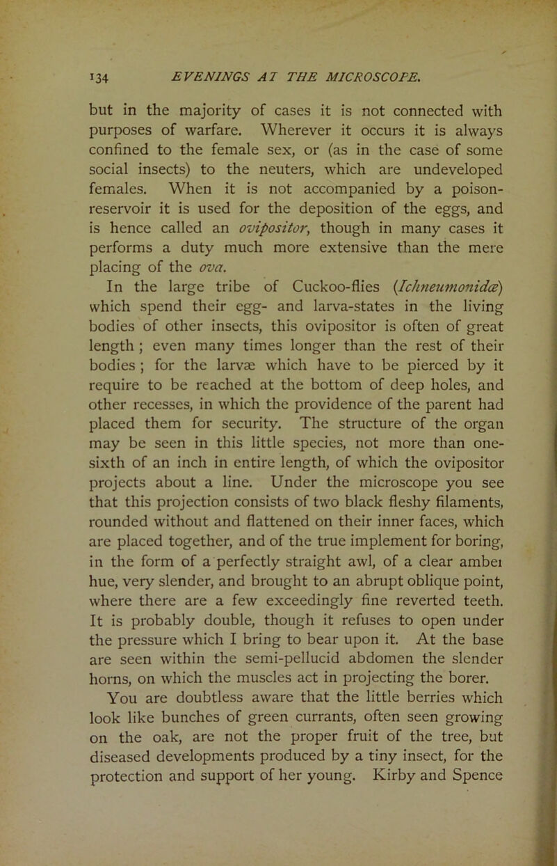 but in the majority of cases it is not connected with purposes of warfare. Wherever it occurs it is always confined to the female sex, or (as in the case of some social insects) to the neuters, which are undeveloped females. When it is not accompanied by a poison- reservoir it is used for the deposition of the eggs, and is hence called an ovipositor, though in many cases it performs a duty much more extensive than the mere placing of the ova. In the large tribe of Cuckoo-flies (Ichneumonidoe) which spend their egg- and larva-states in the living bodies of other insects, this ovipositor is often of great length ; even many times longer than the rest of their bodies ; for the larvae which have to be pierced by it require to be reached at the bottom of deep holes, and other recesses, in which the providence of the parent had placed them for security. The structure of the organ may be seen in this little species, not more than one- sixth of an inch in entire length, of which the ovipositor projects about a line. Under the microscope you see that this projection consists of two black fleshy filaments, rounded without and flattened on their inner faces, which are placed together, and of the true implement for boring, in the form of a perfectly straight awl, of a clear ambei hue, very slender, and brought to an abrupt oblique point, where there are a few exceedingly fine reverted teeth. It is probably double, though it refuses to open under the pressure which I bring to bear upon it. At the base are seen within the semi-pellucid abdomen the slender horns, on which the muscles act in projecting the borer. You are doubtless aware that the little berries which look like bunches of green currants, often seen growing on the oak, are not the proper fruit of the tree, but diseased developments produced by a tiny insect, for the protection and support of her young. Kirby and Spence