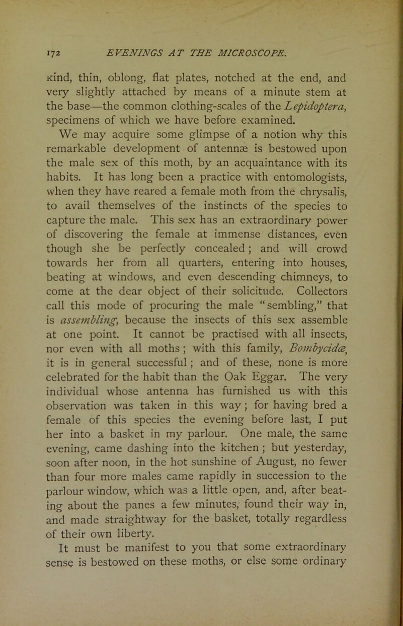 Kind, thin, oblong, flat plates, notched at the end, and very slightly attached by means of a minute stem at the base—the common clothing-scales of the Lepidoptera, specimens of which we have before examined. We may acquire some glimpse of a notion why this remarkable development of antennae is bestowed upon the male sex of this moth, by an acquaintance with its habits. It has long been a practice with entomologists, when they have reared a female moth from the chrysalis, to avail themselves of the instincts of the species to capture the male. This sex has an extraordinary power of discovering the female at immense distances, even though she be perfectly concealed; and will crowd towards her from all quarters, entering into houses, beating at windows, and even descending chimneys, to come at the dear object of their solicitude. Collectors call this mode of procuring the male “sembling,” that is assembling, because the insects of this sex assemble at one point. It cannot be practised with all insects, nor even with all moths ; with this family, Bombycidce\ it is in general successful; and of these, none is more celebrated for the habit than the Oak Eggar. The very individual whose antenna has furnished us with this observation was taken in this way ; for having bred a female of this species the evening before last, I put her into a basket in my parlour. One male, the same evening, came dashing into the kitchen ; but yesterday, soon after noon, in the hot sunshine of August, no fewer than four more males came rapidly in succession to the parlour window, which was a little open, and, after beat- ing about the panes a few minutes, found their way in, and made straightway for the basket, totally regardless of their own liberty. It must be manifest to you that some extraordinary sense is bestowed on these moths, or else some ordinary