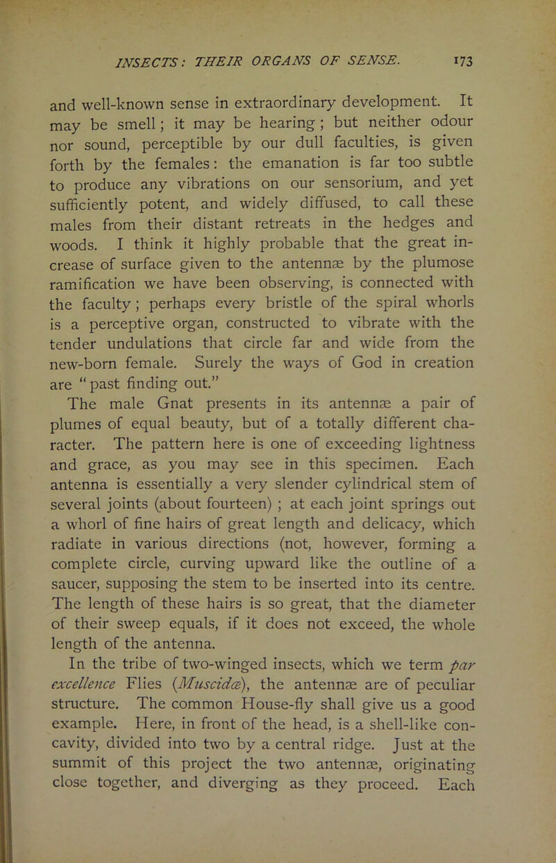 and well-known sense in extraordinary development. It may be smell; it may be hearing ; but neither odour nor sound, perceptible by our dull faculties, is given forth by the females: the emanation is far too subtle to produce any vibrations on our sensorium, and yet sufficiently potent, and widely diffused, to call these males from their distant retreats in the hedges and woods. I think it highly probable that the great in- crease of surface given to the antennae by the plumose ramification we have been observing, is connected with the faculty ; perhaps every bristle of the spiral whorls is a perceptive organ, constructed to vibrate with the tender undulations that circle far and wide from the new-born female. Surely the ways of God in creation are “past finding out.” The male Gnat presents in its antennae a pair of plumes of equal beauty, but of a totally different cha- racter. The pattern here is one of exceeding lightness and grace, as you may see in this specimen. Each antenna is essentially a very slender cylindrical stem of several joints (about fourteen) ; at each joint springs out a whorl of fine hairs of great length and delicacy, which radiate in various directions (not, however, forming a complete circle, curving upward like the outline of a saucer, supposing the stem to be inserted into its centre. The length of these hairs is so great, that the diameter of their sweep equals, if it does not exceed, the whole length of the antenna. In the tribe of two-winged insects, which we term par excellence Flies (Muscidce), the antennae are of peculiar structure. The common House-fly shall give us a good example. Here, in front of the head, is a shell-like con- cavity, divided into two by a central ridge. Just at the summit of this project the two antennae, originating close together, and diverging as they proceed. Each