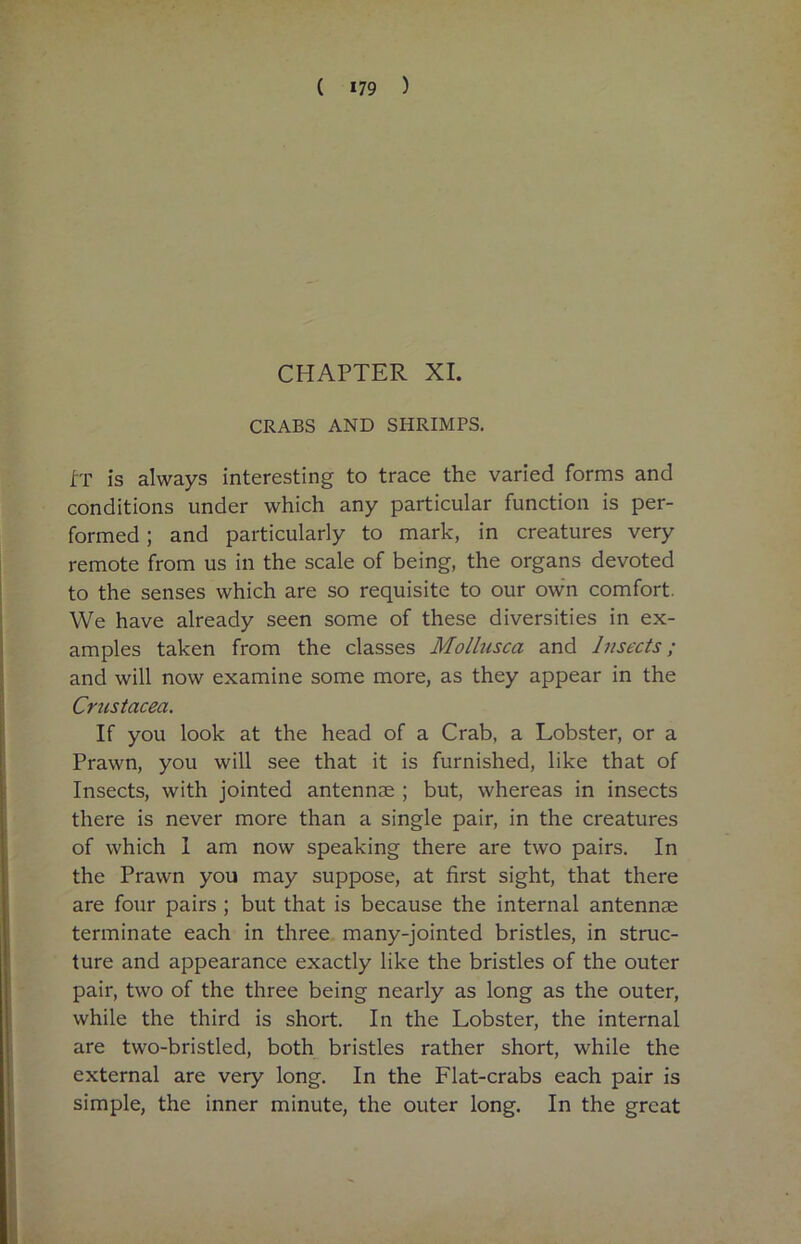 CHAPTER XI. CRABS AND SHRIMPS. IT is always interesting to trace the varied forms and conditions under which any particular function is per- formed ; and particularly to mark, in creatures very remote from us in the scale of being, the organs devoted to the senses which are so requisite to our own comfort. We have already seen some of these diversities in ex- amples taken from the classes Mollusca and Insects; and will now examine some more, as they appear in the Crustacea. If you look at the head of a Crab, a Lobster, or a Prawn, you will see that it is furnished, like that of Insects, with jointed antennae ; but, whereas in insects there is never more than a single pair, in the creatures of which 1 am now speaking there are two pairs. In the Prawn you may suppose, at first sight, that there are four pairs ; but that is because the internal antennae terminate each in three many-jointed bristles, in struc- ture and appearance exactly like the bristles of the outer pair, two of the three being nearly as long as the outer, while the third is short. In the Lobster, the internal are two-bristled, both bristles rather short, while the external are very long. In the Flat-crabs each pair is simple, the inner minute, the outer long. In the great