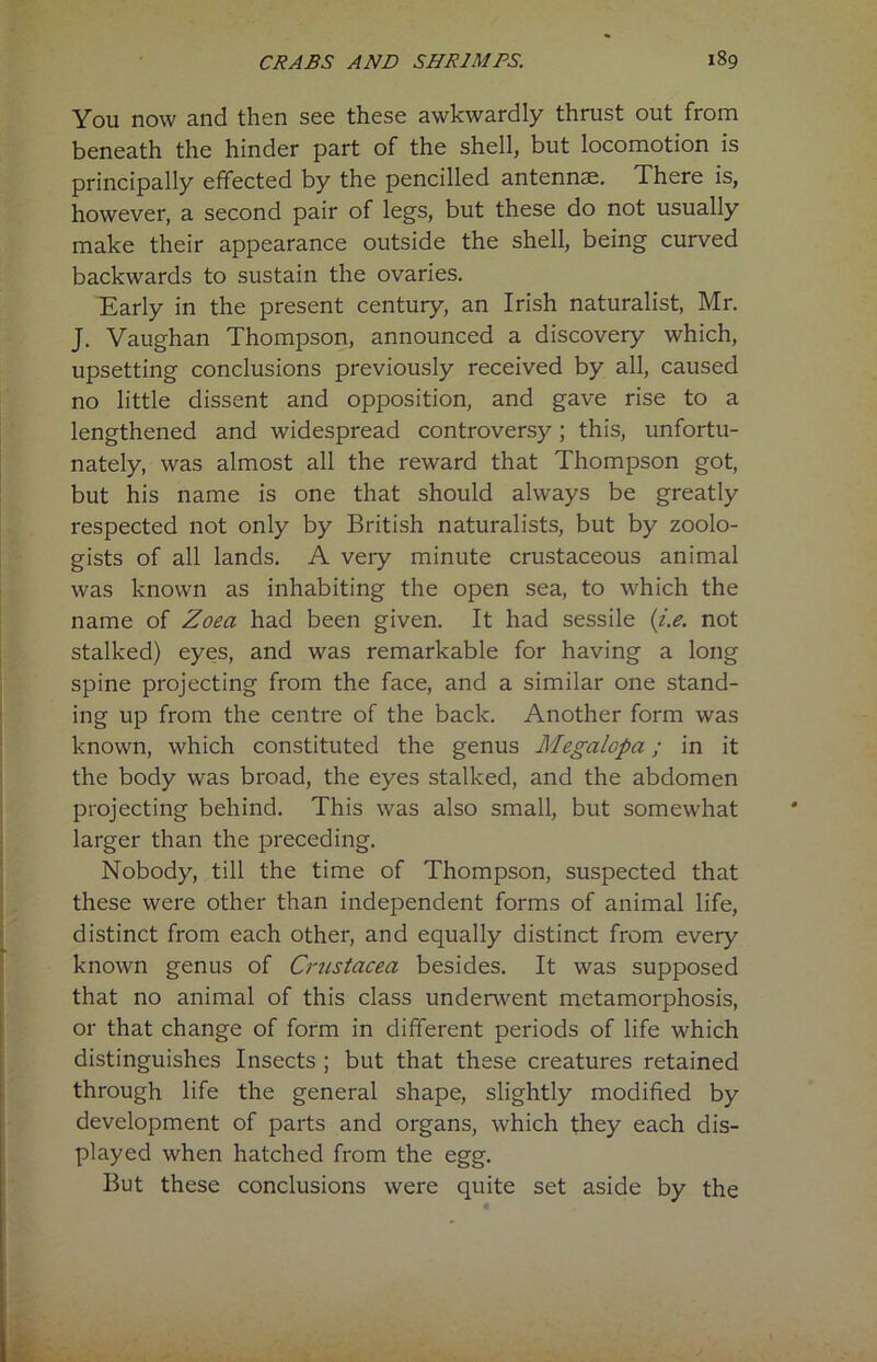 You now and then see these awkwardly thrust out from beneath the hinder part of the shell, but locomotion is principally effected by the pencilled antennae. There is, however, a second pair of legs, but these do not usually make their appearance outside the shell, being curved backwards to sustain the ovaries. Early in the present century, an Irish naturalist, Mr. J. Vaughan Thompson, announced a discovery which, upsetting conclusions previously received by all, caused no little dissent and opposition, and gave rise to a lengthened and widespread controversy; this, unfortu- nately, was almost all the reward that Thompson got, but his name is one that should always be greatly respected not only by British naturalists, but by zoolo- gists of all lands. A veiy minute crustaceous animal was known as inhabiting the open sea, to which the name of Zoea had been given. It had sessile (i.e. not stalked) eyes, and was remarkable for having a long spine projecting from the face, and a similar one stand- ing up from the centre of the back. Another form was known, which constituted the genus Megalcpa; in it the body was broad, the eyes stalked, and the abdomen projecting behind. This was also small, but somewhat larger than the preceding. Nobody, till the time of Thompson, suspected that these were other than independent forms of animal life, distinct from each other, and equally distinct from every known genus of Crustacea besides. It was supposed that no animal of this class underwent metamorphosis, or that change of form in different periods of life which distinguishes Insects ; but that these creatures retained through life the general shape, slightly modified by development of parts and organs, which they each dis- played when hatched from the egg. But these conclusions were quite set aside by the