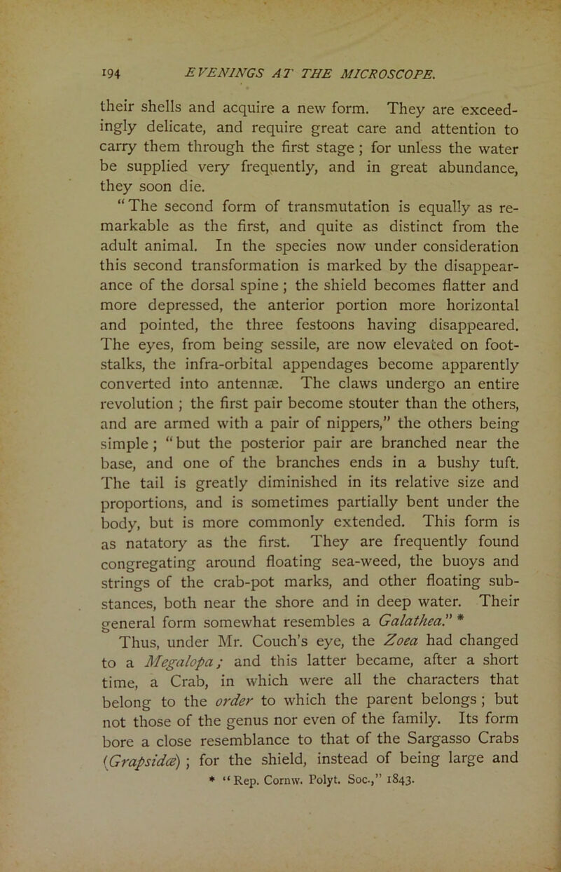 their shells and acquire a new form. They are exceed- ingly delicate, and require great care and attention to carry them through the first stage ; for unless the water be supplied very frequently, and in great abundance, they soon die. “The second form of transmutation is equally as re- markable as the first, and quite as distinct from the adult animal. In the species now under consideration this second transformation is marked by the disappear- ance of the dorsal spine; the shield becomes flatter and more depressed, the anterior portion more horizontal and pointed, the three festoons having disappeared. The eyes, from being sessile, are now elevated on foot- stalks, the infra-orbital appendages become apparently converted into antennae. The claws undergo an entire revolution ; the first pair become stouter than the others, and are armed with a pair of nippers,” the others being simple; “but the posterior pair are branched near the base, and one of the branches ends in a bushy tuft. The tail is greatly diminished in its relative size and proportions, and is sometimes partially bent under the body, but is more commonly extended. This form is as natatory as the first. They are frequently found congregating around floating sea-weed, the buoys and strings of the crab-pot marks, and other floating sub- stances, both near the shore and in deep water. Their sreneral form somewhat resembles a Galathea.” * Thus, under Mr. Couch’s eye, the Zoea had changed to a Megalopa; and this latter became, after a short time, a Crab, in which were all the characters that belong to the order to which the parent belongs ; but not those of the genus nor even of the family. Its form bore a close resemblance to that of the Sargasso Crabs (<Grapsidce) ; for the shield, instead of being large and * “Rep. Cornw. Polyt. Soc.,” 1843.