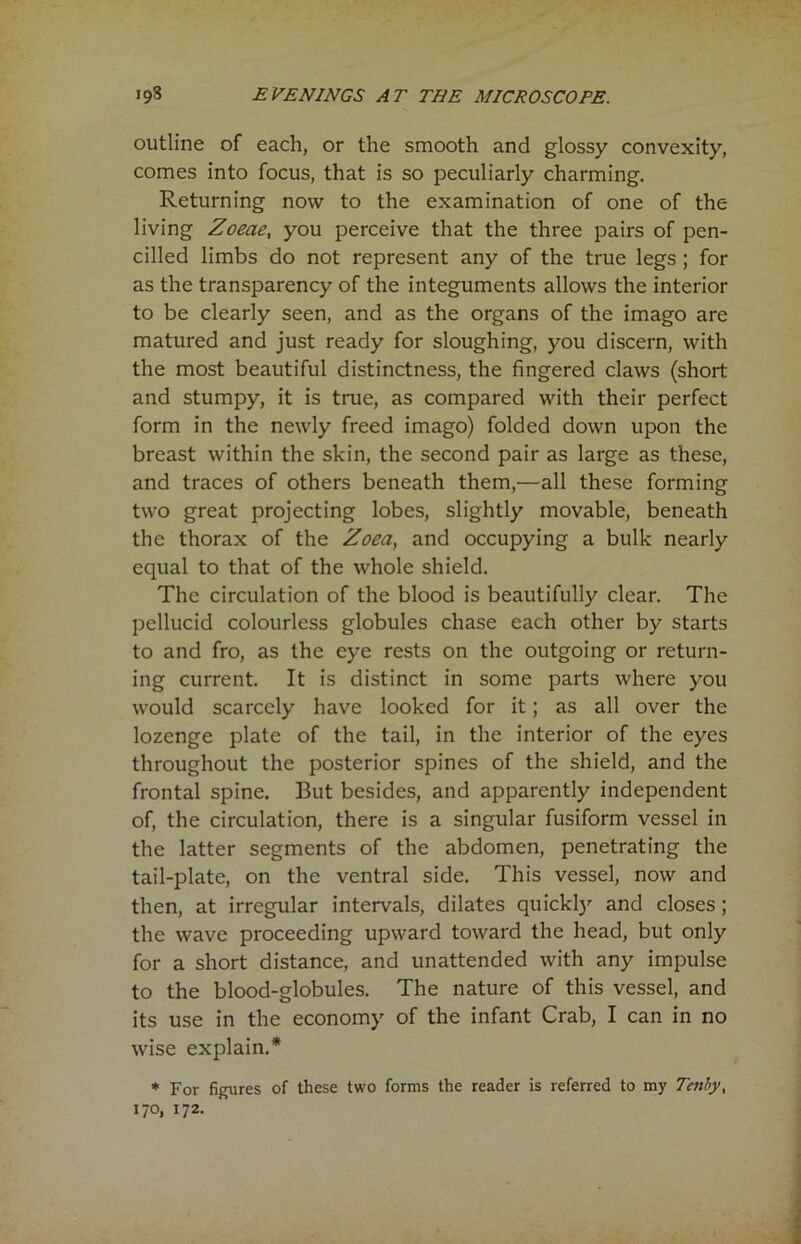 outline of each, or the smooth and glossy convexity, comes into focus, that is so peculiarly charming. Returning now to the examination of one of the living Zoeae, you perceive that the three pairs of pen- cilled limbs do not represent any of the true legs ; for as the transparency of the integuments allows the interior to be clearly seen, and as the organs of the imago are matured and just ready for sloughing, you discern, with the most beautiful distinctness, the fingered claws (short and stumpy, it is true, as compared with their perfect form in the newly freed imago) folded down upon the breast within the skin, the second pair as large as these, and traces of others beneath them,—all these forming two great projecting lobes, slightly movable, beneath the thorax of the Zoea, and occupying a bulk nearly equal to that of the whole shield. The circulation of the blood is beautifully clear. The pellucid colourless globules chase each other by starts to and fro, as the eye rests on the outgoing or return- ing current. It is distinct in some parts where you would scarcely have looked for it; as all over the lozenge plate of the tail, in the interior of the eyes throughout the posterior spines of the shield, and the frontal spine. But besides, and apparently independent of, the circulation, there is a singular fusiform vessel in the latter segments of the abdomen, penetrating the tail-plate, on the ventral side. This vessel, now and then, at irregular intervals, dilates quickly and closes ; the wave proceeding upward toward the head, but only for a short distance, and unattended with any impulse to the blood-globules. The nature of this vessel, and its use in the economy of the infant Crab, I can in no wise explain.* * For figures of these two forms the reader is referred to my Tenby, 17°, 172-