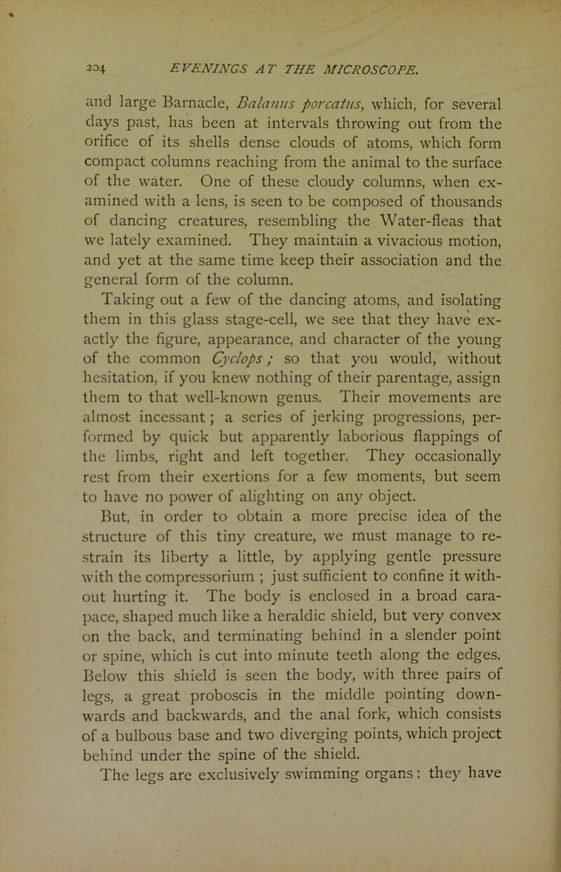and large Barnacle, Balanus porcatus, which, for several clays past, has been at intervals throwing out from the orifice of its shells dense clouds of atoms, which form compact columns reaching from the animal to the surface of the water. One of these cloudy columns, when ex- amined with a lens, is seen to be composed of thousands of dancing creatures, resembling the Water-fleas that we lately examined. They maintain a vivacious motion, and yet at the same time keep their association and the general form of the column. Taking out a few of the dancing atoms, and isolating them in this glass stage-cell, we see that they have ex- actly the figure, appearance, and character of the young of the common Cyclops; so that you would, without hesitation, if you knew nothing of their parentage, assign them to that well-known genus. Their movements are almost incessant; a series of jerking progressions, per- formed by quick but apparently laborious flappings of the limbs, right and left together. They occasionally rest from their exertions for a few moments, but seem to have no power of alighting on any object. But, in order to obtain a more precise idea of the structure of this tiny creature, we must manage to re- strain its liberty a little, by applying gentle pressure with the compressorium ; just sufficient to confine it with- out hurting it. The body is enclosed in a broad cara- pace, shaped much like a heraldic shield, but very convex on the back, and terminating behind in a slender point or spine, which is cut into minute teeth along the edges. Below this shield is seen the body, with three pairs of legs, a great proboscis in the middle pointing down- wards and backwards, and the anal fork, which consists of a bulbous base and two diverging points, which project behind under the spine of the shield. The legs arc exclusively swimming organs: they have