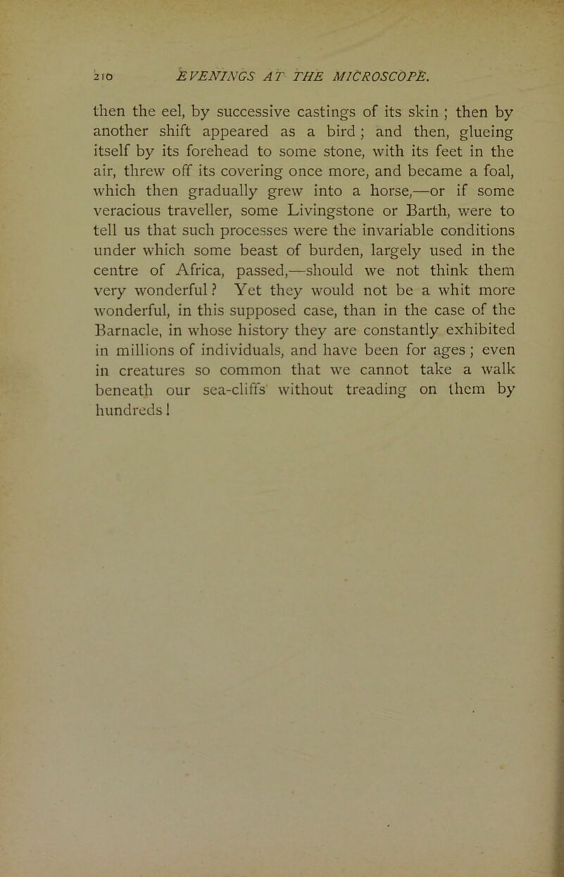 then the eel, by successive castings of its skin ; then by another shift appeared as a bird ; and then, glueing itself by its forehead to some stone, with its feet in the air, threw off its covering once more, and became a foal, which then gradually grew into a horse,—or if some veracious traveller, some Livingstone or Barth, were to tell us that such processes were the invariable conditions under which some beast of burden, largely used in the centre of Africa, passed,—should we not think them very wonderful? Yet they would not be a whit more wonderful, in this supposed case, than in the case of the Barnacle, in whose history they are constantly exhibited in millions of individuals, and have been for ages ; even in creatures so common that we cannot take a walk beneath our sea-cliffs without treading on them by hundreds!