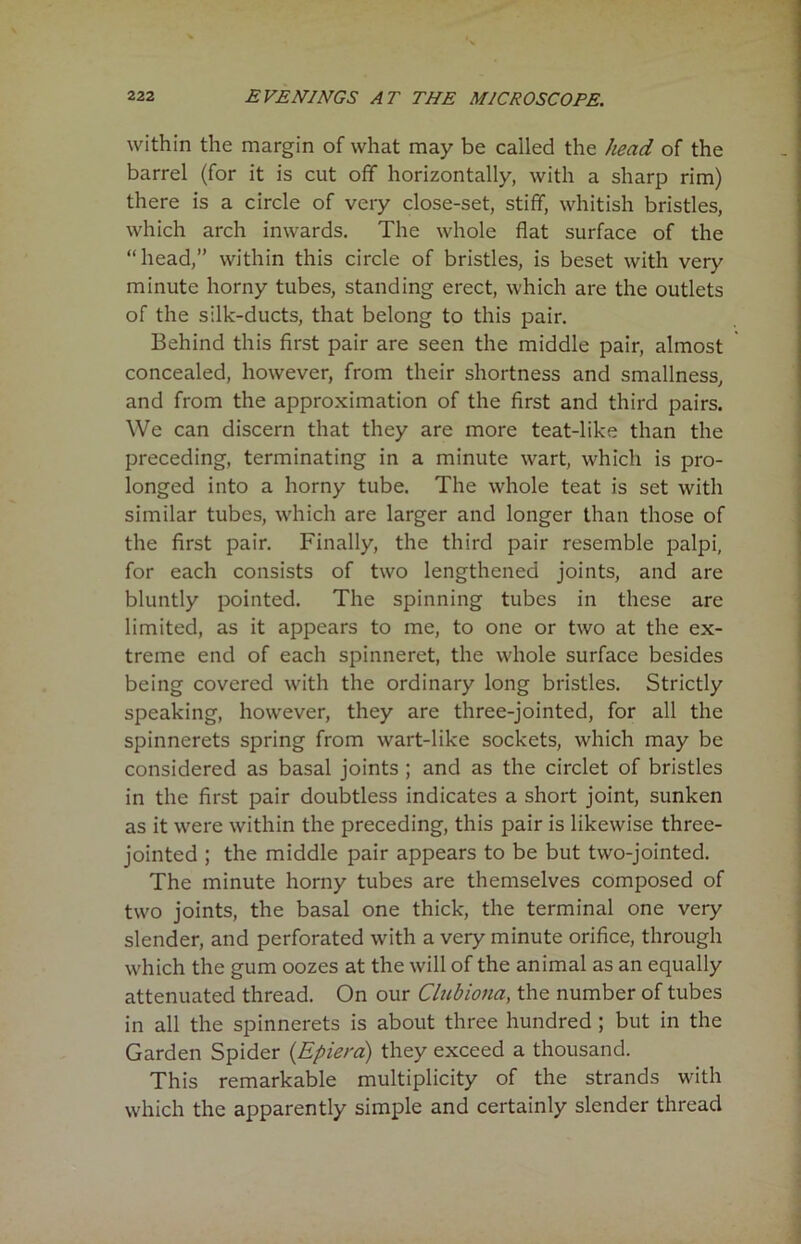 within the margin of what may be called the head of the barrel (for it is cut off horizontally, with a sharp rim) there is a circle of very close-set, stiff, whitish bristles, which arch inwards. The whole flat surface of the “head,” within this circle of bristles, is beset with very minute horny tubes, standing erect, which are the outlets of the silk-ducts, that belong to this pair. Behind this first pair are seen the middle pair, almost concealed, however, from their shortness and smallness, and from the approximation of the first and third pairs. We can discern that they are more teat-like than the preceding, terminating in a minute wart, which is pro- longed into a horny tube. The whole teat is set with similar tubes, which are larger and longer than those of the first pair. Finally, the third pair resemble palpi, for each consists of two lengthened joints, and are bluntly pointed. The spinning tubes in these are limited, as it appears to me, to one or two at the ex- treme end of each spinneret, the whole surface besides being covered with the ordinary long bristles. Strictly speaking, however, they are three-jointed, for all the spinnerets spring from wart-like sockets, which may be considered as basal joints ; and as the circlet of bristles in the first pair doubtless indicates a short joint, sunken as it were within the preceding, this pair is likewise three- jointed ; the middle pair appears to be but two-jointed. The minute horny tubes are themselves composed of two joints, the basal one thick, the terminal one very slender, and perforated with a very minute orifice, through which the gum oozes at the will of the animal as an equally attenuated thread. On our Clubiona, the number of tubes in all the spinnerets is about three hundred ; but in the Garden Spider (Epiera) they exceed a thousand. This remarkable multiplicity of the strands with which the apparently simple and certainly slender thread