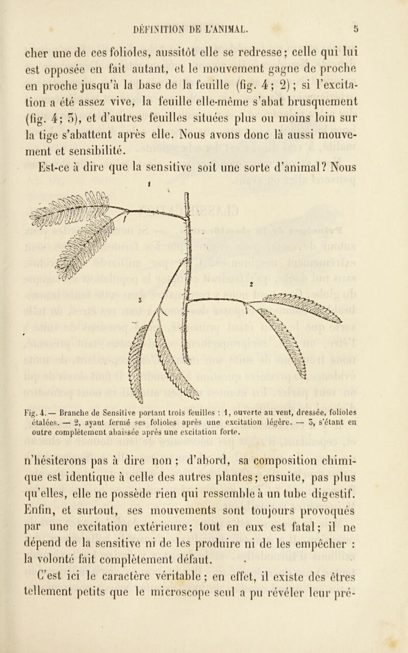 cher une de ces folioles, aussitôt elle se redresse; celle qui lui est opposée en fait autant, et le inouvcrncnt gagne de proche en proche jusqu’à la hase de la feuille (fig. 4; 2); si l’excita- tion a été assez vive, la feuille elle-même s’abat brusquement (fig. 4; o), et d’autres feuilles situées plus ou moins loin sur la tige s’abattent après elle. Nous avons donc là aussi mouve- ment et sensibilité. Est-ce à dire que la sensitive soit une sorte d’animal? Nous 1 Fig. 1.— Branche de Sensilive portant trois feuilles : 1, ouverte au vent, dressée, folioles étalées. — 2, ayant fermé ses folioles après une excitation légère. — o, s’étant en outre complètement abaissée après une excitation forte. n’hésiterons pas à dire non ; d’abord, sa composition chimi- que est identique à celle des autres plantes; ensuite, pas plus ([u’elles, elle ne possède rien qui ressemble à un tuhe digestif. Enfin, et surtout, ses mouvements sont toujours provoqués par une excitation extérieure; tout en eux est fatal; il ne dépend de la sensitive ni de les produire ni de les empêcher : la volonté fait complètement défaut. C’est ici le caractère véritable ; en effet, il existe des êtres tellement petits que le microscope seul a pu révéler leur pré-