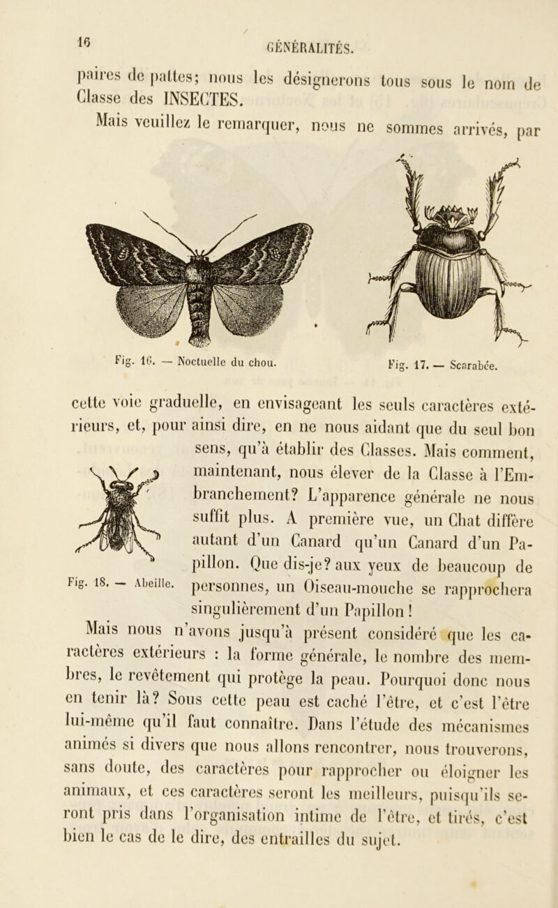 paires de [)al,tes; nous les dési Classe des INSECTES. gneroiis tous sous le nom de Mais veuillez le reniarquer, nous ne sommes arrivés, par cette voie graduelle, en envisageant les seuls caractères exté- rieurs, et, pour ainsi dire, en ne nous aidant que du seul Ijon sens, qu à établir des Classes. Mais comment, maintenant, nous élever de la Classe à l’Em- branchement? L’apparence générale ne nous suffit plus. A première vue, un Cbat diffère autant d’un Canard qu’un Canard d’un Pa- pillon. Que dis-je? aux yeux de beaucoup de personnes, un Oiseau-mouche se rapprocliera singulièrement d’un Papillon ! Mais nous n avons jusqu’à présent considéré que les ca- ractères extérieurs : la forme générale, le nombre des mem- bres, le revêtement qui protège la peau. Pourquoi donc nous en tenir là? Sous cette peau est caché l’être, et c’est l’être lui-même qu’il faut connaître. Dans l’étude des mécanismes animés si divers que nous allons rencontrer, nous trouverons, sans doute, des caractères pour rapprocher ou éloigner les animaux, et ees caractères seront les meilleurs, ront pris dans l’organisation intime de l’être, bien le cas de le dire, des entrailles du sujet. puisqu’ils se- et tirés, c’est