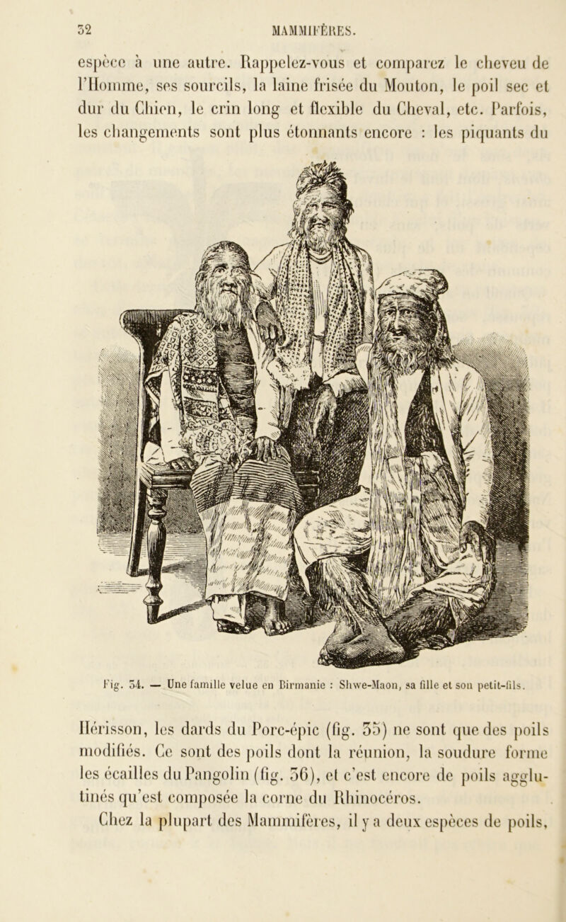 espèce à une antre. Rappelez-vous et comparez le cheveu de riloiume, SOS sourcils, la laine frisée du Mouton, le poil sec et dur du Chien, le crin long et flcxihle du Cheval, etc. Parfois, les changements sont plus étonnants encore : les piquants du Fig. o4. — Une famille velue en Birmanie : Shwe-Maon, sa fille et sou petit-fils. Hérisson, les dards du Porc-épic (fig. 55) ne sont que des poils modiliés. Ce sont des poils dont la réunion, la soudure forme les écailles du Pangolin (fig. 56), et c’est encore de poils agglu- tinés qu’est composée la corne du Rhinocéros. Chez la plupart des Mammifères, il y a deux espèces de poils,