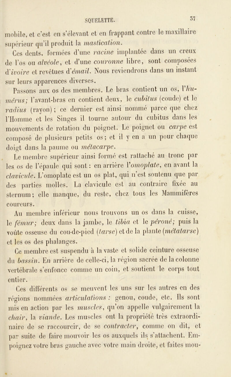 SQUELETTE, itioI)i1g, et c Gst en s clcvnnt ot en fuQppnnt coiitic le ninxillsiiG supérieur qu’il produit la incistïccilion. Ces dents, formées d’une racine implantée dans un creux de l’os ou alvéole, et d’une couronne libre, sont composées A'ivoire et rexetues à'émail. Nous reviendrons dans un instant sur leurs apparences diverses. Passons aux os des membres. Le bras contient un os, 1’//?/- niérusI l’avant-bras en contient deux, le euhilus (coude) et le radius (rayon) ; ce dernier est ainsi nommé parce que chez rilomme et les Singes il tourne autour du cubitus dans les mouvements de rotation du poignet. Le poignet ou carpe est composé de plusieurs petits os ; et il y en a un pour chaque doigt dans la paume ou métacarpe. Le membre supérieur ainsi formé est rattaché au tronc par les os de l’épaule qui sont : en arrière Vomoplate, en avant la clavicule. L’omoplate est un os plat, qui n’est soutenu que par des parties molles. La clavicule est au contraire fixée au sternum; elle manque, du reste, chez tous les Mammifères coureurs. Au membre inférieur nous trouvons un os dans la cuisse, le fémur; deux dans la jambe, le tibia et \e péroné; puis la voûte osseuse du cou-de-pied (/«rse) et de la phuic (métatarse) et les os des phalanges. Ce membre est suspendu à la vaste et solide ceinture osseuse du bassin. En arrière de celle-ci, la région sacrée de la colonne vertébrale s’enfonce comme un coin, et soutient le corps tout entier. Ces différents os se meuvent les uns sur les autres en des régions nommées articulations : genou, coude, etc. Ils sont mis en action par les muscles, qu’on appelle vulgairement la chair, la viande. Les muscles ont la propriété très extraordi- naire de se raccourcir, de se contracter, comme on dit, et par suite de faire mouvoir les os auxquels ils s’attachent. Em- poignez votre bras gauche avec votre main droite, et faites mou-