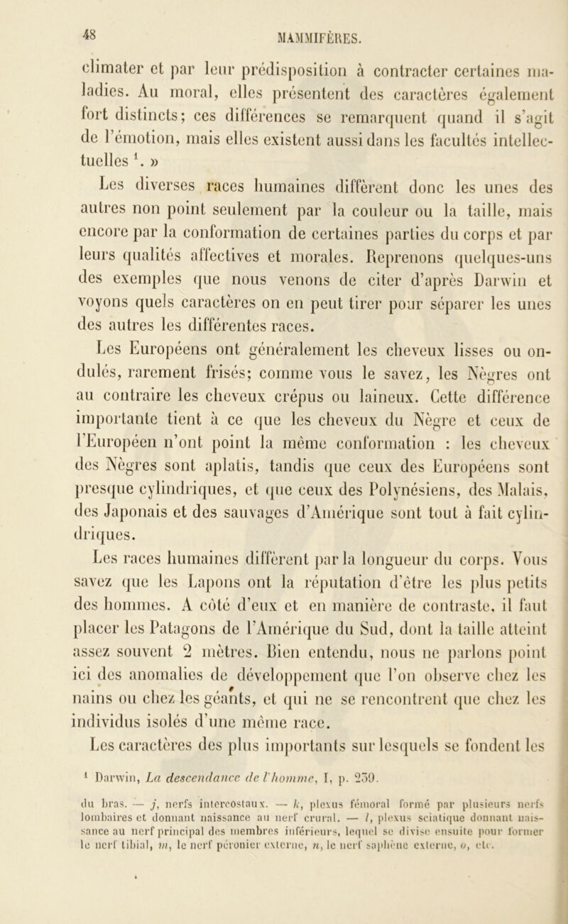 climater et par leur prédisposition à contracter certaines ma- ladies. Au moral, elles présentent des caractères également fort distincts; ces différences se remarquent quand il s’agit de rémotion, mais elles existent aussi dans les facultés intellec- tuelles ^ » Les diverses races humaines diffèrent donc les unes des autres non point seulement par la couleur ou la taille, mais encore par la conformation de certaines parties du corps et par leurs qualités alfectives et morales. Reprenons quelques-uns des exemples que nous venons de citer d’après Darwin et voyons quels caractères on en peut tirer pour séparer les unes des autres les différentes races. Les Européens ont généralement les cheveux lisses ou on- dulés, rarement frisés; comme vous le savez, les Nè<^res ont au contraire les cheveux crépus ou laineux. Cette différence importante tient à ce que les cheveux du Nègre et ceux de l’Européen n’ont point la même conformation : les cheveux des Nègres sont aplatis, tandis que ceux des Européens sont pres(|ue cylindriques, et (pie ceux des Polynésiens, des Malais, des Japonais et des sauvages d’Amérique sont tout à fait cylin- driques. Les races humaines diffèrent parla longueur du corps. Vous savez que les Lapons ont la réputation d’être les jilus petits des hommes. A c(')té d’enx et en manière de contraste, il faut placer les Patagons de l’Ainériipie du Sud, dont la taille atteint assez souvent !2 mètres. Bien entendu, nous ne parlons point ici des anomalies de développement que l’on observe chez les nains ou chez les géants, et qui ne se rencontrent que chez les individus isolés d’une même race. Les caractères des plus importants sur lesquels se fondent les ^ Darwin, La descendance de Vhomme, I, p. 259. (lu bras. — j, norfs int(>rcoslaiix. — U, plexus fémoral formé par plusieurs nerfs lombaires et donnant naissance au nerf crural. — /, plexus sciatique donnant nais- •sance au nerf principal des membres inférieurs, lequel se divise ensuite jiour former le nerf tibial, m, le nerf péronier externe, n, le nerf saidiime externe, o, eU .