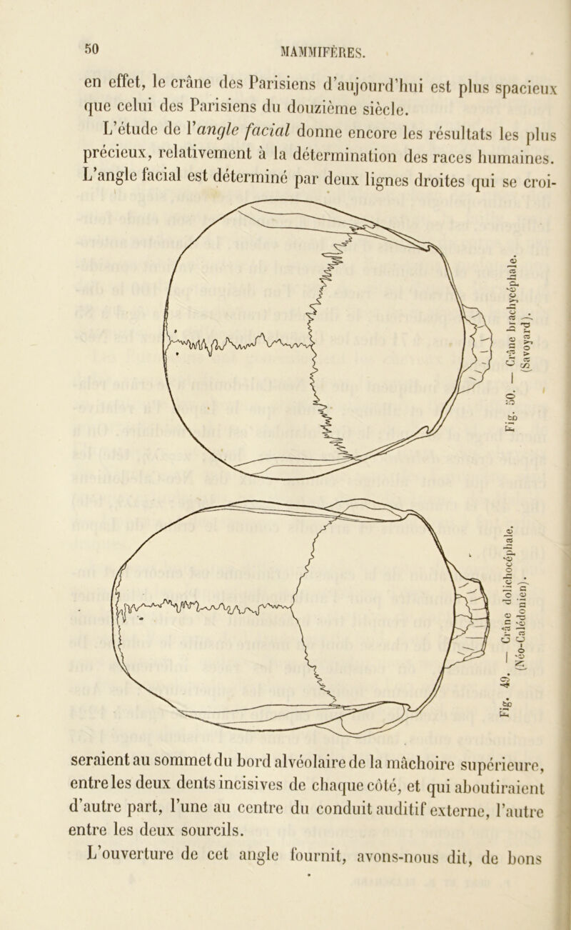 en effet, le crâne des Parisiens d’aujourd’hui est plus spacieux que celui des Parisiens du douzième siècle. L étude de 1 angle facial donne encore les résultats les plus précieux, relativement à la détermination des races humaines. L angle facial est déterminé par deux lignes droites qui se croi- seraient au sommet du bord alvéolaire de la mâchoire supérieure, entre les deux dents incisives de chaque côté, et qui aboutiraient d’autre part, l’une au centre du conduit auditif externe, l’autre entre les deux sourcils. L’ouverture de cet angle fournit, avons-nous dit, de bons