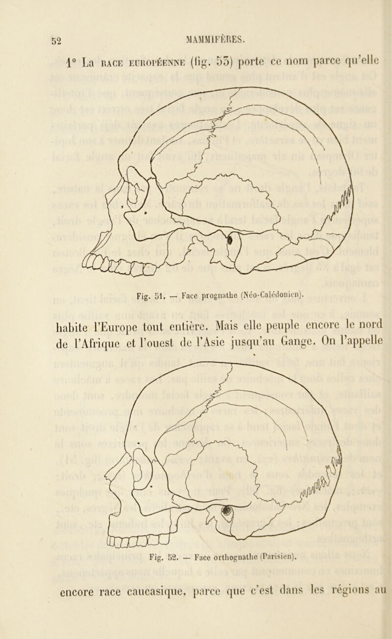 1® La RACE EüROl'ÉENNE (lig. 55) portc ce nom parce qu’elle habite l’Europe tout entière. Mais elle peuple encore le nord de l’Afrique et l’ouest de l’Asie jusqu’au Gange. On 1 appelle encore race caucasique, parce que c’est dans les régions au