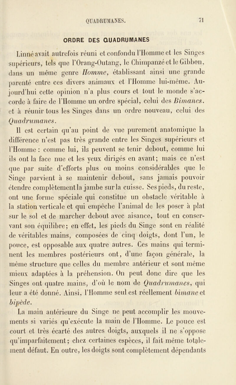 ORDRE DES QUADRUMANES Linné avait autrefois réuni et confondu rilommc et les Singes supérieurs, tels que l’Orang-Outang, le Chimpanzé et le Gibbon, dans un même genre Homme, établissant ainsi une grande parenté entre ces divers animaux et l’IIommc lui-memc. Au- jourd’bui cette opinion n’a plus cours et tout le monde s’ac- corde à faire de niomme un ordre spécial, celui des Bimanes. et à réunir tous les Singes dans un ordre nouveau, celui des Quadrumanes. Il est certain qu’au point de vue purement anatomique la différence n’est pas très grande entre les Singes supérieurs et l’Homme : comme lui, ils peuvent se tenir debout, comme lui ils ont la face nue et les yeux dirigés en avant; mais ce n’est (|ue par suite d’efforts plus ou moins considérables que le Singe parvient à se maintenir debout, sans jamais pouvoir étendre complètement la jambe sur la cuisse. Ses pieds, du reste, ont une forme spéciale qui constitue un obstacle véritable à la station verticale et qui empêche l’animal de les poser à plat sur le sol et de marcher debout avec aisance, tout en conser- vant son équilibre; en effet, les pieds du Singe sont en réalité de véritables mains, composées de cinq doigts, dont l’un, le pouce, est opposable aux quatre autres. Ces mains qui termi- nent les membres postérieurs ont, d’une façon générale, la même structure que celles du membre antérieur et sont même mieux adaptées à la préhension. On peut donc dire que les Singes ont quatre mains, d’où le nom de Quadrumanes, qui leur a été donné. Ainsi, l’Homme seul est réellement bimane e{ bipède. La main antérieure du Singe ne peut accom])lir les mouve- ments si variés qu’exécute la main de l’Homme. Le pouce est court et très écarté des autres doigts, auxquels il ne s’oppose qu’imparfaitement ; chez certaines espèces, il fait même totole- inent défaut. En outre, les doigts sont complètement dépendants