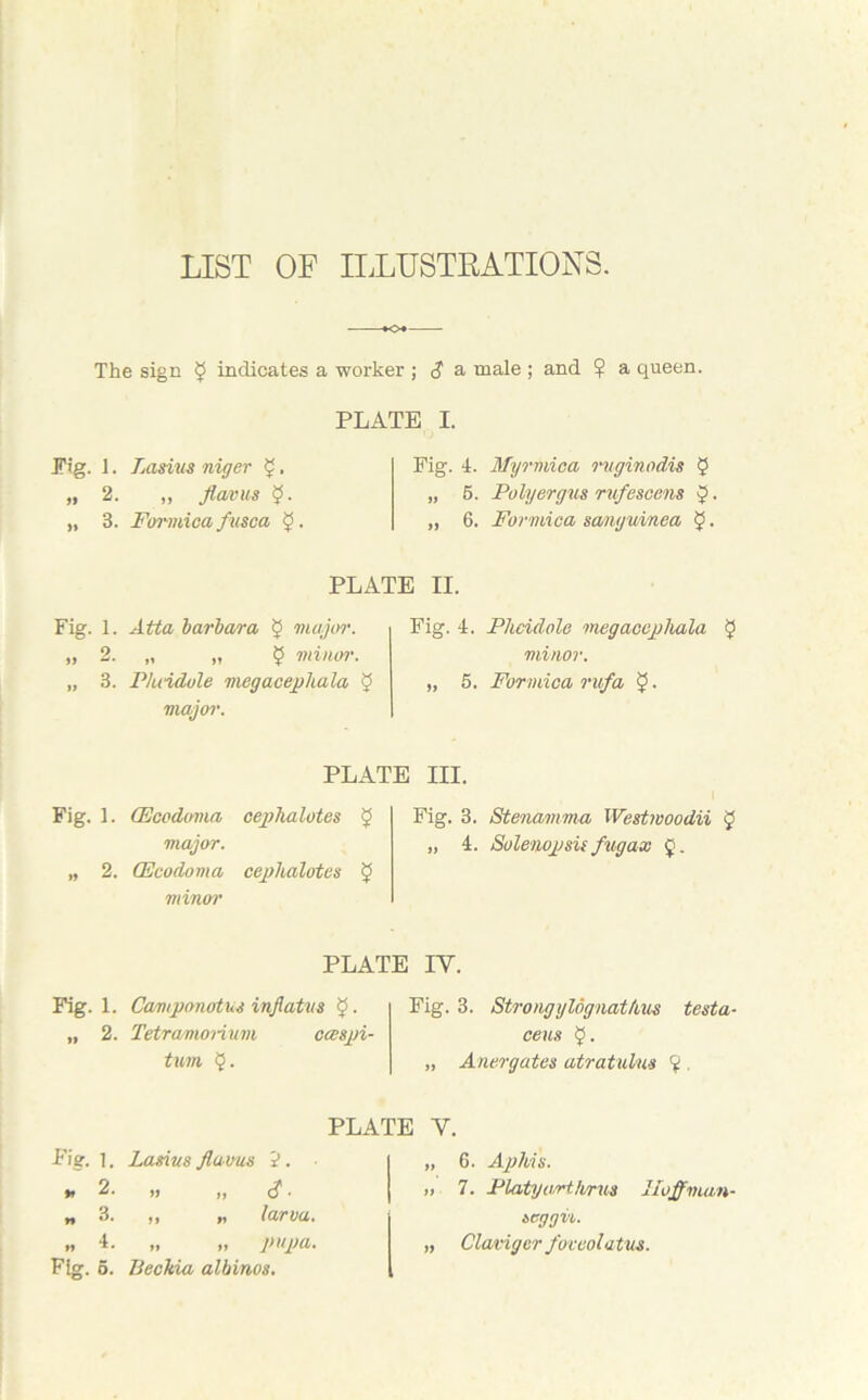 LIST OF ILLUSTRATIONS. -•o* The sign 3 indicates a worker ; $ a male ; and ? a queen. PLATE I. Fig. 1. Lasius niger 3. „ 2. „ flavus 3- „ 3. Formica fusca 3 Fig. 4. Myrmica ruginodis 3 „ 5. Polyergus rufescens 3 • „ 6. Formica scunguinea 3 • PLATE II. Fig. 1. Atta barbara 3 major. „ 2. „ „ 3 minor. „ 3. Pluidule megacephala 3 major. Fig. 4. Plicidole megacepkala 3 minor. „ 5. Formica rufa 3 • PLATE III. Fig. 1. (Fcodoma ceplialotes 3 major. „ 2. CEcodoma ceplialotes 3 minor Fig. 3. Stenamma Westwoodii 3 „ 4. Solenopsis fug ax 3. Fig. 1. Caruponotus infiatus 3 • „ 2. Tetramorium ccespi- tum 3 • PLATE IY. Fig. 3. Strong ylognatkus testa- ceus 3. Anergates atratulus 3 . PLATE Y. Pig. 1. Lasius fla vus 2. »i 2. „ „ £. n 3. „ 1. larva. „ 4. „ „ pupa. Fig. 5. Beckia albinos. 6. Aphis. 7. Platyartkrus Hoffman seggit. Clavigcr foveolatus.