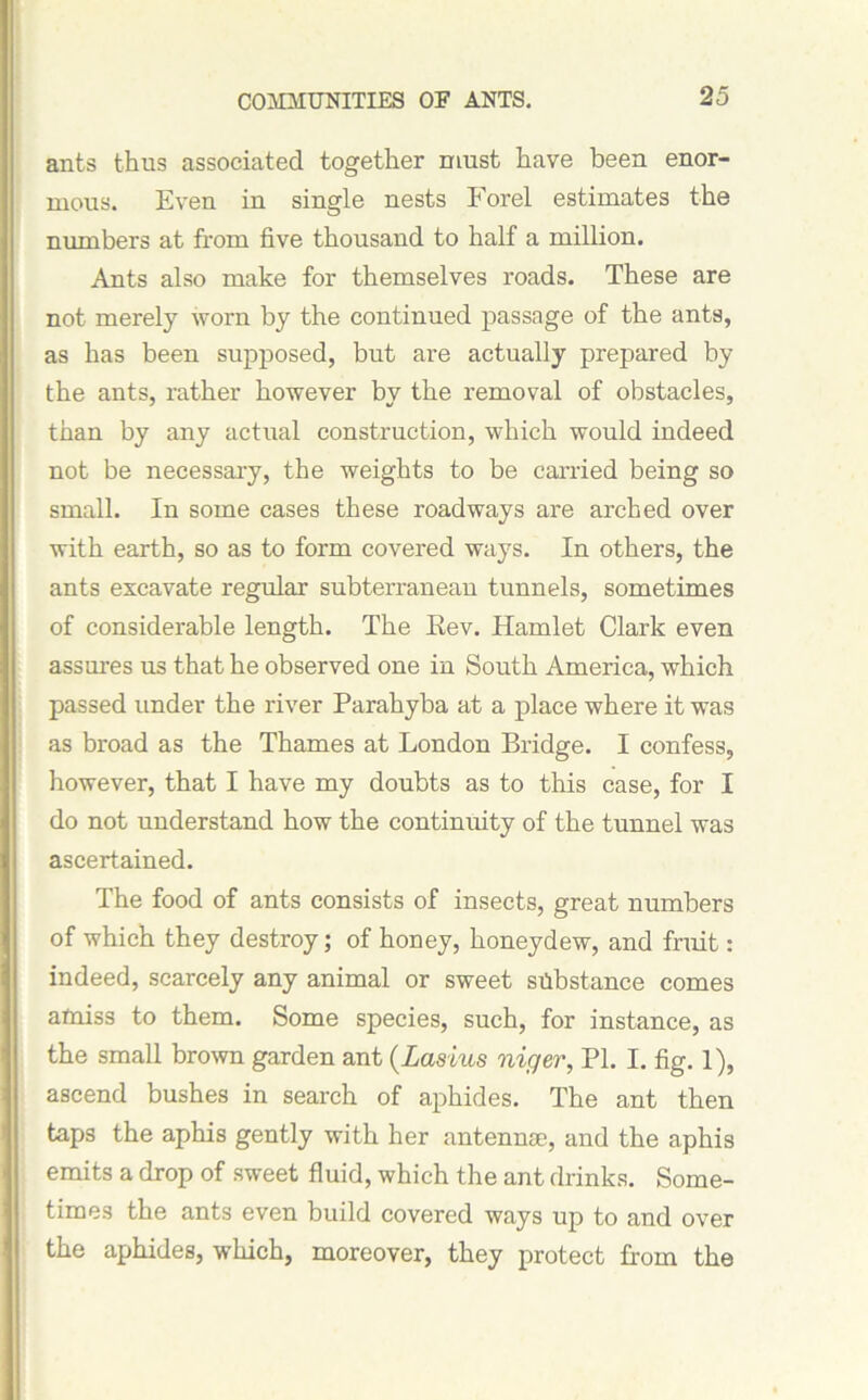 ants thus associated together must have been enor- mous. Even in single nests Forel estimates the numbers at from five thousand to half a million. Ants also make for themselves roads. These are not merely worn by the continued passage of the ants, as has been supposed, but are actually prepared by the ants, rather however by the removal of obstacles, than by any actual construction, which would indeed not be necessary, the weights to be carried being so small. In some cases these roadways are arched over with earth, so as to form covered ways. In others, the ants excavate regular’ subterranean tunnels, sometimes of considerable length. The Eev. Hamlet Clark even assures us that he observed one in South America, which passed under the river Parahyba at a place where it was as broad as the Thames at London Bridge. I confess, however, that I have my doubts as to this case, for I do not understand how the continuity of the tunnel was ascertained. The food of ants consists of insects, great numbers of which they destroy; of honey, honeydew, and fruit: indeed, scarcely any animal or sweet silbstance comes afniss to them. Some species, such, for instance, as the small brown garden ant (Lasius niger, PI. I. fig. 1), ascend bushes in search of aphides. The ant then taps the aphis gently with her antennae, and the aphis emits a drop of sweet fluid, which the ant drinks. Some- times the ants even build covered ways up to and over the aphides, which, moreover, they protect from the