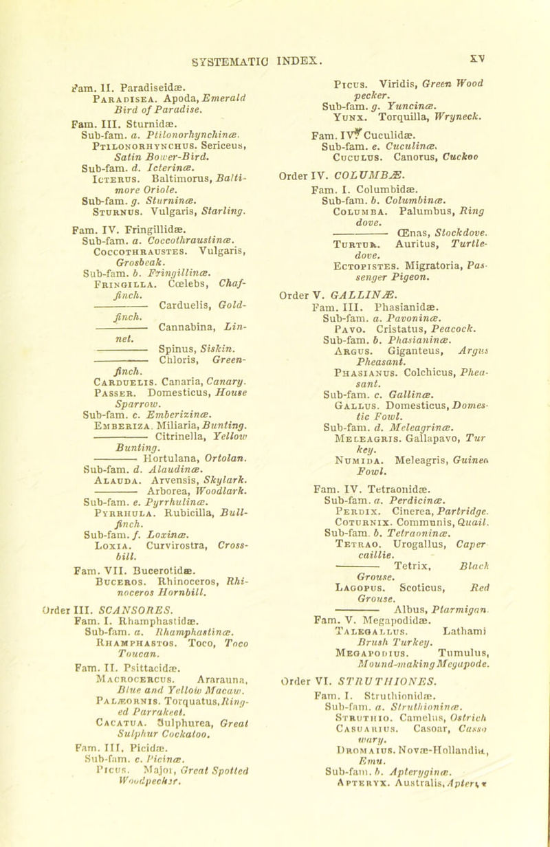 XY i?am. II. Paradiseidas. Paradisea. Emerald Bird of Paradise. Fam. III. SturnidEB. Sub-fam. a. Ptilonorhynchinte. Ptilonorhynchus. Sericeus, Satin Bower-Bird. Sub-fam. d. Iclerince. Icterus. Baltimorus, Balti- more Oriole. Sub-fam. g. Sturnince, Sturnus. Vulgaris, Starling. Fam. IV. FringillldEe. Sub-fam. a. Coccothraustince. CoccoTHRAUsTES. Vulgaris, Grosbeak. Sub-fam. b. Fringillince. Fringilla. Coelebs, Chaf- finch. Carduelis, Gold- finch. Cannabina, Lin- net. Spinus, Siskin. Chloris, Green- finch. Carduelis. Canaria, Canary. Passer. Domesticus, House Sparrow. Sub-fam. c. Emberizince. Emberiza. Miliaria, Citrinella, Yellow Bunting. Hortulana, Ortolan. Sub-fam. d. Alaudince. Alauda. Arvensis, Skylark. Arborea, Woodlark. Sub-fam. e. Pyrrhulina:. PvRRiiuLA. Rubicilla, Bull- finch. Sub-fam./. Loxinai. Loxia. Curvirostra, Cross- bill. Fam. VII. Bucerotidffi. Buceros. Rhinoceros, Rhi- noceros Hornbill. Order III. SCANSORES. Fam. I. Rhamphastidae. Sub-fam. a. Ilhan^phastince. Rhamphastos. Toco, Toco Toucan. Fam. II. Psittacida?. Macrocercus. Ararauna, Blue and Yellow Macaw. Palaiornis. Torquatus./ii'nr/- ed Parrakeet. Cacatua. Sulphurea, Great Sulphur Cockatoo. Fam. Ill, Picida;. Sub-fam. c. I’icince. I’lcus. Great Spotted Woudpecksf. Piccs. Viridis, Green Wood pecker. Sub-fam. g. Yuncince. Yunx. Torquilla, Wryneck. Fam. ivi!^Cuculidse. Sub-fam. e. Cuculince. CucuLUS. Canorus, Cuckoo Order IV. COLUMB^. Fam. I. ColumbidEB. Sub-fam. b. Columbince. CoLUMBA. Palumbus, Ring dove. (Enas, Stockdove. Turtur. Auritus, Turtle- dove. Ectopistes. Migratoria, Pas- senger Pigeon. Order V. GALLINAB. Fam. III. Phasianidae. Sub-fam. a. Pavonince. Pavo. Cristatus, Peacock. Sub-fam. 6. Phasianince. Argus. Giganteus, Argus Pheasant. Phasianus. Colchicus, Phea- sant. Sub-fam. c. Gallince. Gallus. Domesticus, Domes- tic Fowl. Sub-fam. d. Meleagrints. Meleagris. Gallapavo, Tur key. Numida. Meleagris, Guinea Fowl. Fam. IV. Tetraonidae. Sub-fam. a. PerdicintB. Perdix. CineTea., Partridge. Coturnix. Communis, Quail. Sub-fam. b. Telraonince. Tetrao. Urogallus, Caper caillie. Tetrix, Black Grouse. Laoopus. Seoticus, Red Grouse. Albus, Ptarmigan Fam. V. Megapodidae. Taleoallus. Eathami Brush Turkey. Meoapoiiius. Tumulus, Mound-making Mcgapode. Order VI. STRV TUIONES. Fam. I. Struthionid.m. Sub-fam. a. Struthioninre. Strutiiio. Camelus, Ostrich Casuarius. Casoar, Ca.vso wary. Dromaius. Nov.'E-Hollandia, Emu. Sub-fam. b. Apteryginie. Apteryx. Au.stralis,/(pfer;»