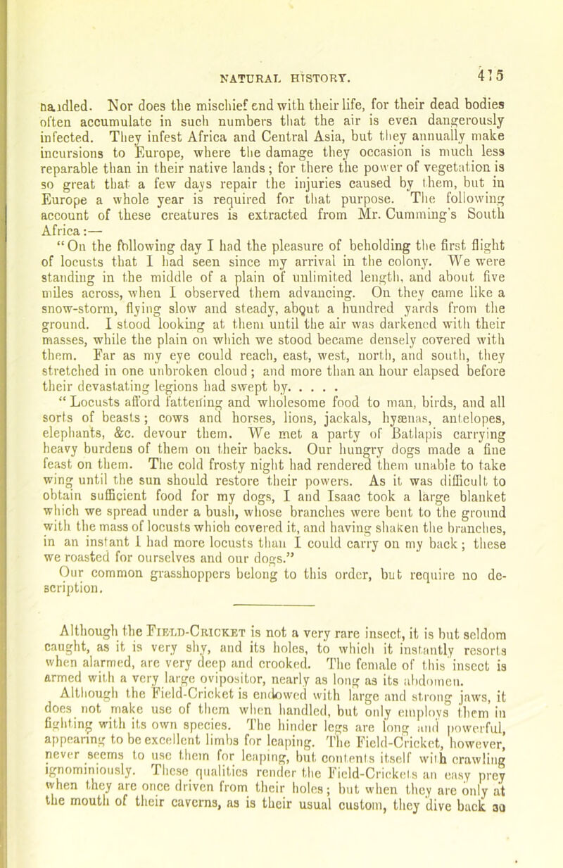 baidled. Nor does the misehief end with their life, for their dead bodies often accumulate in such numbers tliat the air is even dangerously infected. They infest Africa and Central Asia, but tliey annually make incursions to Europe, where the damage they occasion is much less reparable than in their native lands; for there the power of vegetation is so great that a few da^s repair the injuries caused by them, but in Europe a whole year is required for tliat purpose. The following account of these creatures is extracted from Mr. Cummings South Africa:— “On the following day I had the pleasure of beholding tlie first flight of locusts that I had seen since my arrival in tlie colony. We were standing in the middle of a plain of unlimited length, and about five miles across, when I observed them advancing. On they came like a snow-storm, flying slow and steady, abqut a hundred yards from the ground. I stood looking at them until the air was darkened with their masses, while the plain on wliich we stood became densely covered with them. Far as my eye could reach, east, west, north, and south, they stretched in one unbroken cloud ; and more than an hour elapsed before their devastating legions had swept by “ Locusts afi'ord fatteiling and wholesome food to man, birds, and all sorts of beasts; cows and horses, lions, jackals, hyaenas, antelopes, elephants, &c. devour them. We met a party of Batlapis carrying heavy burdens of them on their backs. Our hungry dogs made a fine feast on them. The cold frosty night had rendered them unable to take wing until the sun should restore their powers. As it was difficult to obtain sufficient food for my dogs, I and Isaac took a large blanket which we spread under a busli, whose branches were bent to the ground with the mass of locusts which covered it, and having shaken the branches, in an instant 1 had more locusts than I could carry on my back; these we roasted for ourselves and our dogs.” Our common grasshoppers belong to this order, but require no de- scription. Although the Field-Cricket is not a very rare insect, it is but seldom caught, as it is very shy, and its holes, to which it instantly resorts when alarmed, are very deep and crooked. The female of this insect is armed wiUi a very large ovipositor, nearly as long as its ulidomeii. Although the Field-Crieket is endowed with large and strong jaws, it does not make use of them when handled, but only cmplovs them in fighting with its own species. The hinder legs are long amt powerful, appearing to be excellent limbs for leaping. The Ficld-Cricket, however, never seems to use them for leaping, but cnntenls itself wiih crawling ignominiously. These qualities render the Ficld-Criekels an easy prey when they are once driven from their holes; but wdien they are only at the mouth of their caverns, as is their usual custom, they dive back 3o