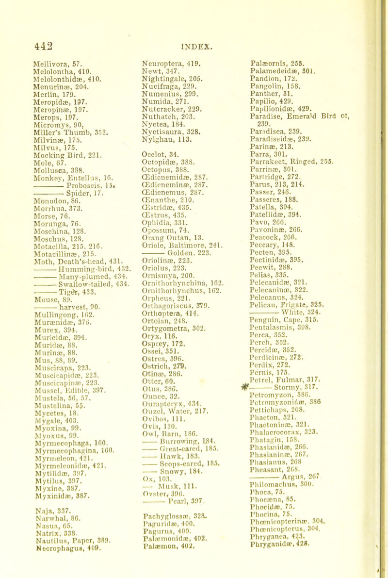 Mellivora, 57. Melolontha, 410. MelolonthidaB, 410. Menurinte, 204. Merlin, 179. MeropidcB, 197. Meropinre, 197. Merops, 197. Micromys, 90, Miller’s Thumb, 352. Milvinae, 17.5. Milvus, 175. Mocking Bird, 221. Mole, 67. Mollusca, 388. Monkey, Entellus, 16. Proboscis, )5« Spider, 17. Monodon, 86. Morrhua, 373. Morse, 76. Morunga, 76. Moschina, 128. Moschus, 128. Motacilla, 215, 216. Motacillinae, 215. Moth, Death’s-head, 431. Humming-bird, 432. Many-plumed, 434. Swallow-tailed, 434. Tigdr, 433. Mouse, 89. harvest, 90. Mullingong, 162. Murrenidse, 376. Murex, 394. Muricidffi, 394. Muridae, 88. Murinm, 88. Mus, 88, 89. Muscieapa, 223. Muscicapidm, 223. Muacicapinm, 223. Mussel, Edible, 397. Mustela, 56, 57. Muatelina, 55. Mycetes, 18. Mygale, 403. Myoxina, 99. Myoxus, 99. Myrmecophaga, 160. Myrmecophagina, 160. Myriiicleon, 421. Myrmeleonidfc, 421. Mytilidm, 397. Mytilus, 397. Myxinc, 387. Myxinitlffi, 387. Naja, 337. Narwhal, 86. Nasun, 65. N.atrix. 338. Nautilus, Paper, 389. Necrophagus, 409. Neuroptera, 419. Newt, 347. Nightingale, 205. Nueifraga, 229. Numenius, 299. Numida, 271. Nutcracker, 229. Nuthatch, 203. Nyctea, 184. Nyctisaura, 328. Nylghau, 113. Ocelot, 34. Octopidre, 388. Octopus, 388. Qiidicnemidm, 287. CEdieneminsp, 287. CEdicnemus, 287. CEnanthe, 210. ffistridcB, 435. OLstrus, 435. Ophidia, 331. Opossum, 74. Orang Outan, 13. Oriole, Baltimore, 241. Golden, 223. Oriolinre, 223. Oriolus, 223. Ornismya, 200. Ornithorhynchina, 162. Ornithorhynchus, 162. Orpheus, 221. Orthagoriscus, 379. Orthoptera, 414. Ortolan, 248. Ortygometra, 302. Oryx. 116. Osprey, 172. Ossei, 351. Ostrea, 396. Ostrich, 27S. Otinm, 286. Otter, 60. Otus, 28G. Ounce, 32. Ouraptcryx, 434. Ouzel, Water, 217. Ovibos, 111. Ovis, 120. Owl, Barn, 186. Burrowing, 184. Gre.at-cared, 185. Hawk, 183. Scops-cared, 185. Snowy, 184. Ox, 103. — Musk, 111. Oyster, 390. Pearl, 397, PachyglossfD, 328. Pagurida;, 400. PiSgurue, 400. Palaimonida:, 402. Palaemon, 402. Palaeornis, 255. Palamedeid®, SOI. Pandion, 172. Pangolin, 158. Panther, 31. Papilio, 429. PapUionid®, 429. Paradise, Emera’d Bird ot, 239. Paradisea, 239. Paradiseid®, 239. Parin®, 213. Parra, 301. Parrakeet, Ringed, 255. Parrin®, 301. Partridge, 272. Paras, 213, 214. Passer, 246. Passeres, 188. Patella, 394. Patellid®, 394. Pavo, 266. P.avonin®, 266. Peacock, 266. Peccary, 148. Pecten, 395. Pectinid®, 395. Peewit, 288. Pelias, 335. Pelecanida, 321. Pelecatiin®, 322. Pelecanus, 324. Pelican, Frigate, 325. White, 324. Penguin, Cape, 315. Pentalasmis, 398. Perea, 352. Perch, 352. Percid®, 352. Perdicin®, 272. Perdix, 272. Pern is, 175. Petrel, Fulmar, 317. 0 Stormy, 317. Petromyzon, 386. Petromyzonid®, 386 Pettichaps, 208. Phaeton, 321. Phactonin®, 321. Phaincrocorax, 323. Phatagin, 158. Phasiaiiid®, 266. Phasianin®, 267. Phasianua. 268 Pheasant, 268. Argus, 267 Phllomachus, 300. Phoca, 75. Phociena, 85. Phocid®, 75. I’hocina, 75. Phccnicopterin®. 304. Phccnieoptcnis. 304. Phryganea, 423. Pbryganid®, 428.