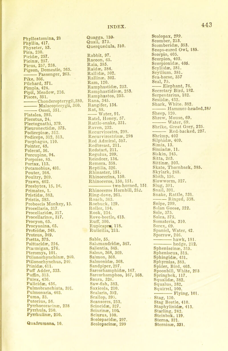 Phyllostomina, 21 Phyllia, 417. Physeter, 83. Pica, 230. Picidae, 257. Picin®, 257. Picus, 257, 258. Pigeon, Domestic, 265. Passenger, 263. Pike, 366. Pilchard, 371. Pimpla, 424. Pipit, Meadow, 216. Pisces, 351. Chonderopterygii,380. Malacopterygii, 360. Ossei, 351. Platalea, 293. Plecotus, 24. Plectognathi, 379. Pleuronectidm, 375. Podicepinae, 312. Podiceps, 312, 313. Poephagus, 110. Pointer, 45. Polecat, 56. Porcupine, 94. Porpoise, 85. Portax, 113. Potamobius, 401. Pouter, 264. Poultry, 269. Prawn, 402. Presbytes, 15, 16. Primates, 1. Pristidae, 383. Pristis, 383. Proboscis Monkey, 15. Procellaria, 317. Procellaridae, 317. Procellarin.-B, 317. Procyon, 65. Procyonina, 65. Proteidae, 349. Proteus, 349. Psetta, 375. Psittacidae, 254. Ptarmigan, 276. Pteromys, 101. Ptilonorhynchinre, 210. Ptilonorhynchus, 240. PHnidae,411. Puff Adder, 333. Puffin, 313. Pulex, 436. Pulicidoe, 436. Pulmobrancbiata, 391. Pulmonaria, 403. Puma, 33. Putorius, 56. Pyrrhocoracina:, 238 Pyrrhula, 250. Pyrrhulinae, 250. Quadrumana, 10. Quagga, 139. Quail, 273. Querquedula, 310. Rabbit, 97. Racoon, 65. Raia, 385. Raidae, 384. Rallidm, 302. Rallinae, 302. Ram, 120. Ramphastidae, 253. Ramphastidinae, 253. Ramphastos, 253. Rana, 345. Rangifer, 134. Rat, 88. Water, 91. Ratel, Honey, 57. Rattle-snake, 331. Raven, 232. Recurvirostra, 298. Recurvirostrinae, 298 Red Admiral, 507. Redbreast, 211. Redstart, 211. Regulus, 209. Reindeer, 134. Remora. 358. Reptilia, 326. Rhinaster, 151. Rhinocerina, 150. Rhinoceros, 150, 151. two-horned, 151 Rhinoceros Hornhill, 252. Ring-dove, 261. Roach, 363. Roebuck, 129. Roller, 194. Rook, 234. Rove-heetle, 413. Ruff, 300. Rupicapi*, 118. Ruticilia, 211. Sable, 55. Salamandridae, 347. Salientia, 345. Salmo, 368, 309. Salmon, 368. Salmonidae, 368. Sandpiper, 297. Sarcorhamphidae, 107. Sarcorliamphos, 167, 168. Saura, 326. Saw-fish, 383. Saxicola, 210. Scalaria, 392. Scallop, 39.'i. Scansores, 253. Scincida:, 327. Sciurina:, 100. Sciurus, 100. Scolopacida:, 297. Scolopacinm, 299 Scolopax, 299. Scomber, 253. Seomberidae, 353. Scops-eared Owl, 185. Scorpio, 405. Scorpion, 405. Scorpionidas, 405. Scyllidae, 381. Scyllium, 381. Sea-horse, 357 Seal, 75. Elephant, 76. Secretary Bird, 182. Serpentarius, 182. Sesiidae, 432. Shark, White, 382. Hammer-headed,388 Sheep,120. Shrew, Mouse, 69. Water, 09. Shrike, Great Grey, 225. Red-backed. 227. Shrimp, 402 Silpliidae, 409. Simla, 13. Simiadae, 11. Siskin, 245. Sitta, 203. Sittinte, 203. Skate, Thornhack, 385. Skylark, 248. Sloth, 156. Slowworm, 327. Slug, 391. Snail, 391. Snake, Rattle, 331. Ringed, 338. Snipe, 299. Solan Goose, 322. Sole, 375. Solea, ,375. Somatoria, 310. Sorex, 69. Spaniel, Water, 42. Sparrow, 240. hawk, 181. hedge, 212. SpheniscinsE, ,315. Spheniscus, 315. Sphingidac, 4.31. Sphyrnias, 383. Spider, Bird, 403. Spoonbill, White, 253 Springbok, 117. Squalidae, 382. Squalus, 382. Squirrel, 100. Flying, 101. Stag, 130. Stag Beetle, 410. Staphylinidee, 413. Starling, 242. Steinbok, 119. Sterna, 321. Sterninae, 321.