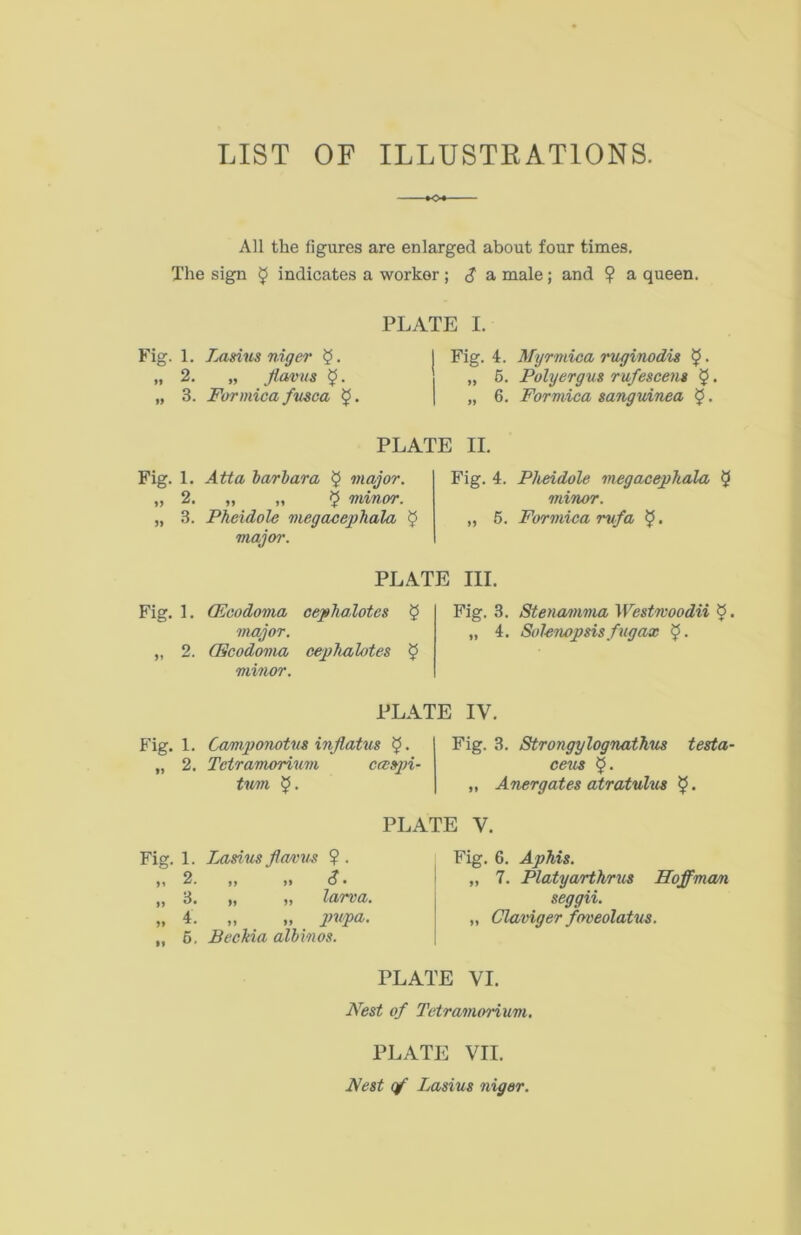 LIST OF ILLUSTRATIONS. +o+- All the figures are enlarged about four times. The sign $ indicates a worker ; $ a male; and ? a queen. PLATE I. Fig. 1. Lasius niger 5 • „ 2. „ flaws $. „ 3. Formica fusca £. Fig. 4. Myrmica ruginodis $. „ 5. Polyergus rufescens $. „ 6. Formica sanguinea $. PLATE II. Fig. 1. Atta barbara $ major. „ 2. „ „ ^ minor. „ 3. Pheidole megacephala £ major. Fig. 4. Pheidole megacephala $ minor. „ 5. Formica rufa 5 • Fig. 1. „ 2. PLATE III. (Ecodoma cephalotes § Fig. 3. major. „ 4. (Ecodoma cephalotes £ minor. Stenamma Westwoodii d. Solenopsis fug ax $. PLATE IY. Fig. 1. Gamponotvs inflatus „ 2. Tctramorium ccespi- tnm $. Fig. 3. Strongylognathus testa- ceus „ Anergates atratulus $. PLATE Y. Fig. 1. Lasius flaws ? . m 2. )} )> & • „ 3. „ „ larva. „ 4. „ „ pupa. ,, 5. Bechia albinos. Fig. 6. Aphis. „ 7. Platyarthrus Hoffman seggii. „ Claviger foveolatus. PLATE VI. Nest of Tctramorium. PLATE VII. Nest qf Lasius niger.